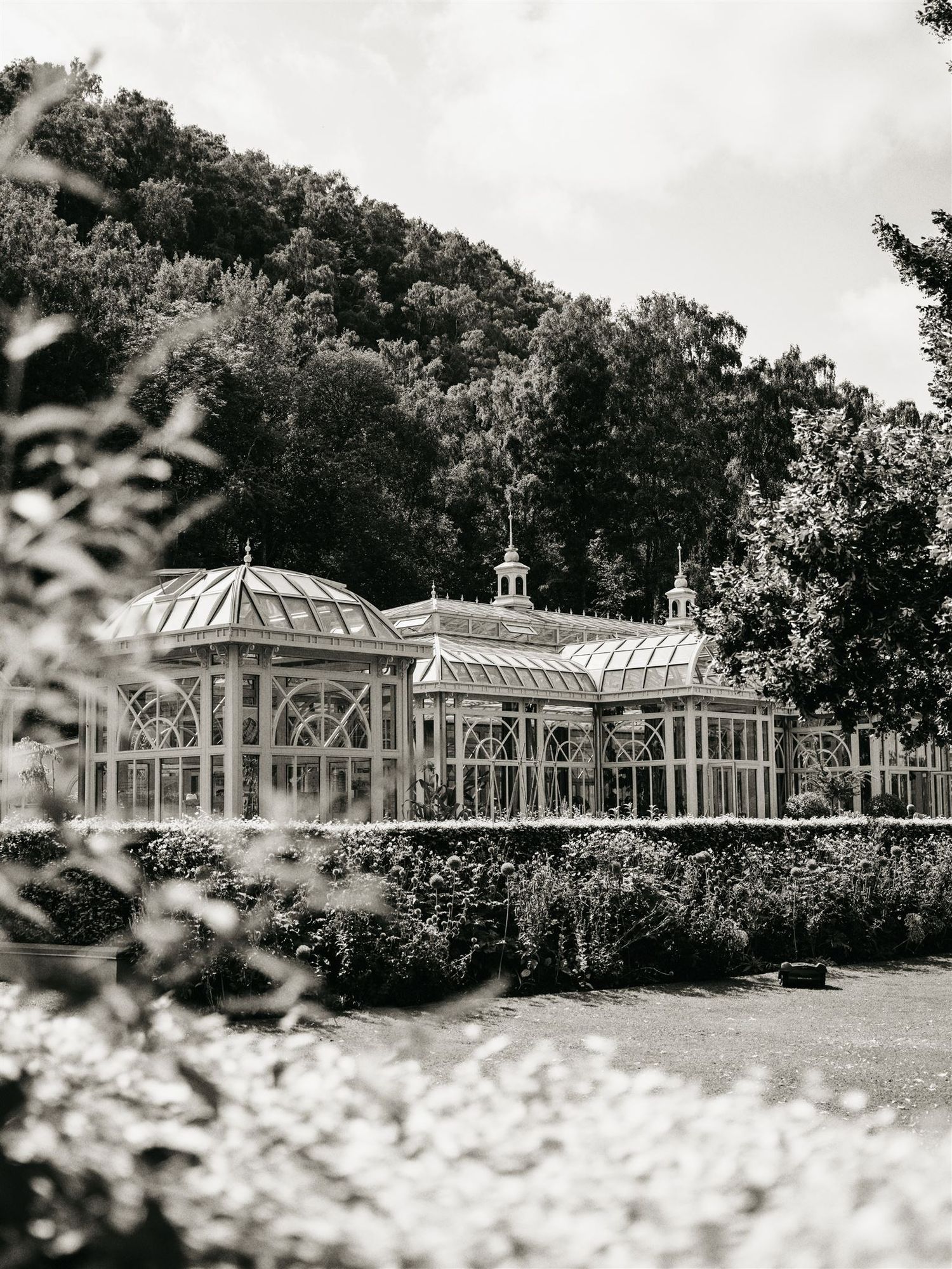 Black and white photo of a Victorian glass greenhouse surrounded by gardens and wooded hills.