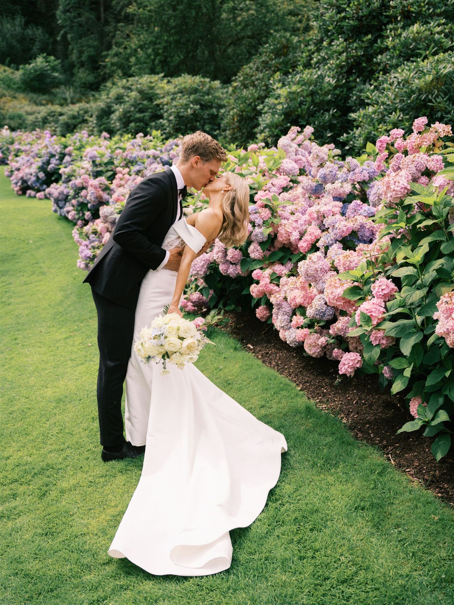 Groom dipping bride for a kiss in front of a stunning row of pink and purple hydrangeas.