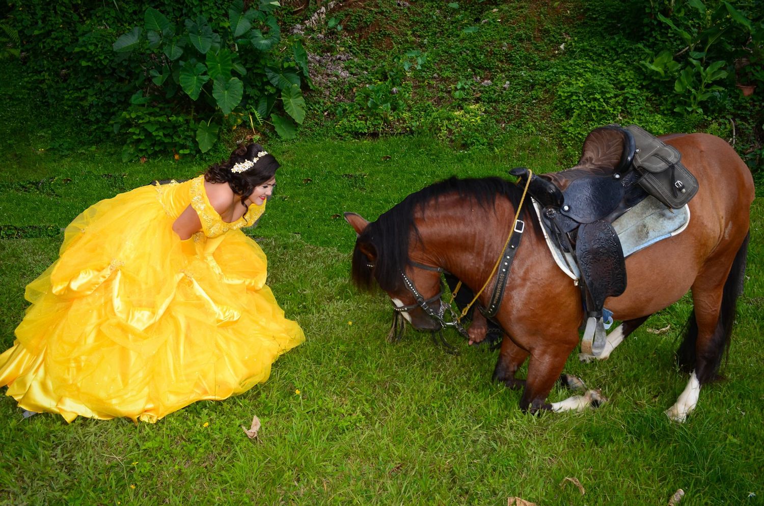 beauty and the beast fiesta 15