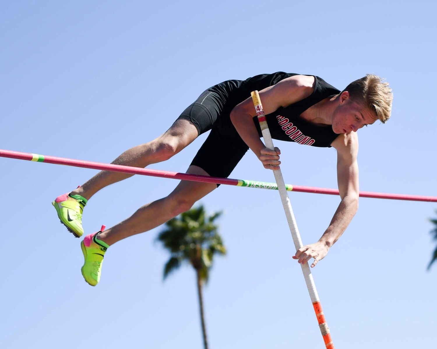 Male pole vaulter clears the bar against a blue sky with palm tree in background.