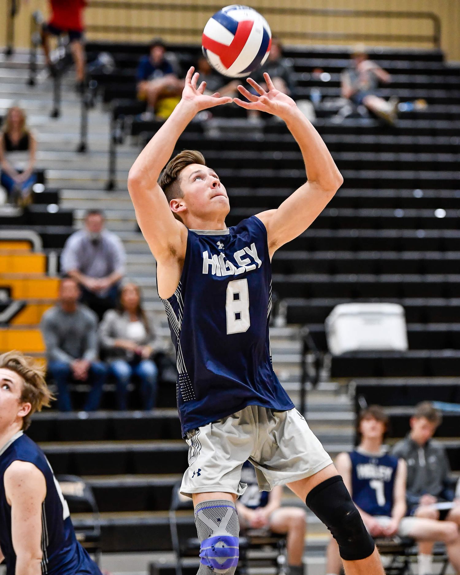 Male volleyball player in navy Higley jersey number 8 sets the ball during an indoor high school match.