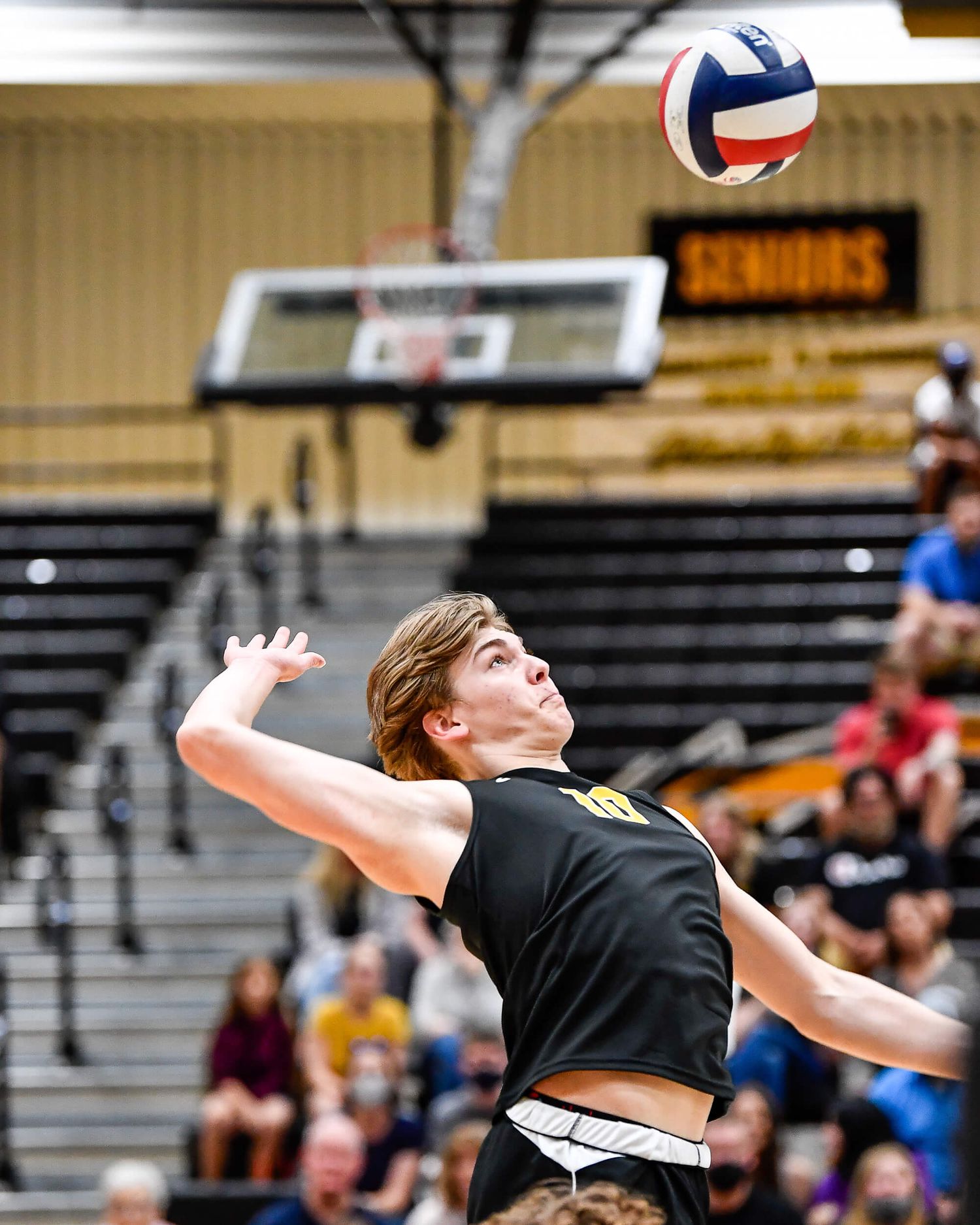 Male volleyball player in black uniform leaps to spike ball during indoor match.