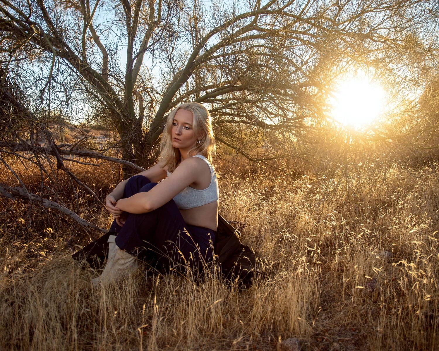 Young woman sitting in golden field at sunset with bare trees in background.