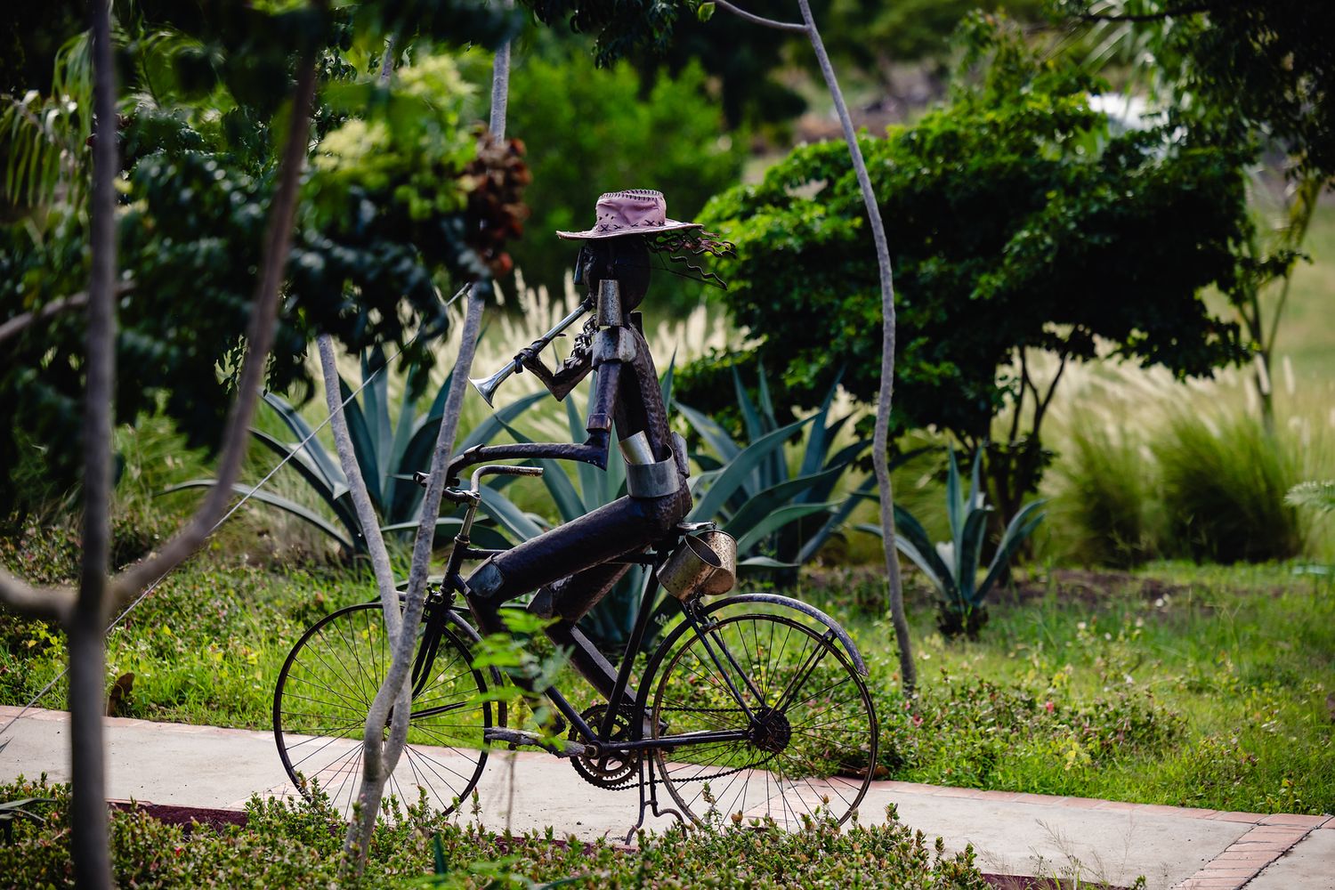 Metal sculpture of a cyclist wearing a hat, displayed outdoors among lush green tropical plants and agave.