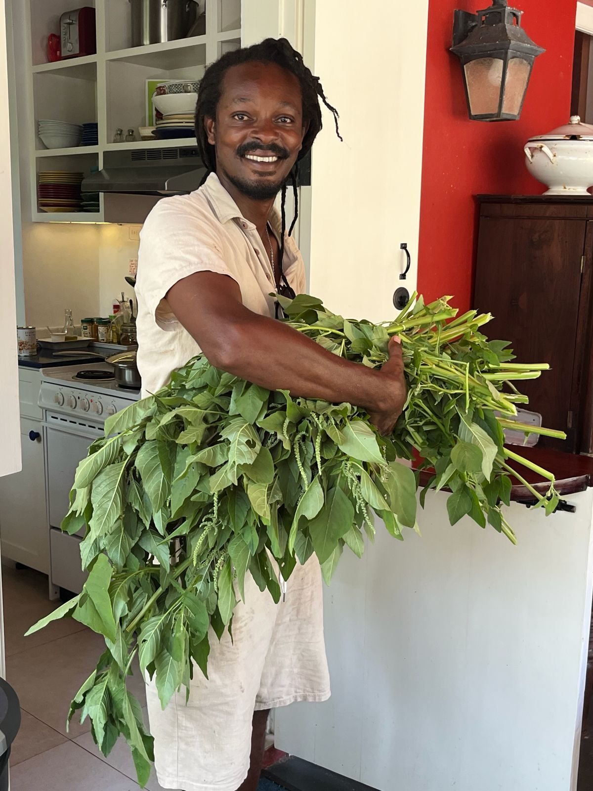 Smiling man with dreadlocks holding large bundle of fresh green leafy vegetables in a kitchen.