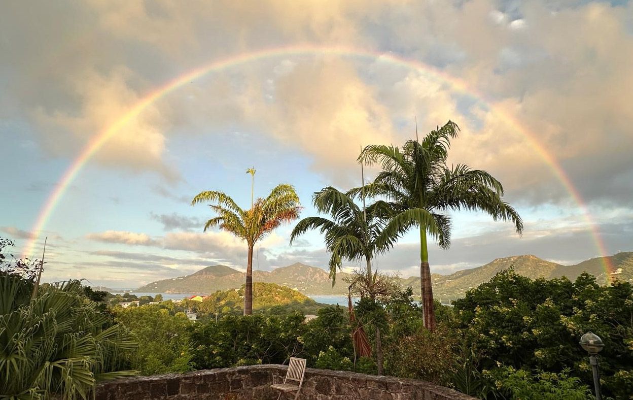 Double rainbow arching over tropical palm trees with lush greenery and misty mountains in the background.