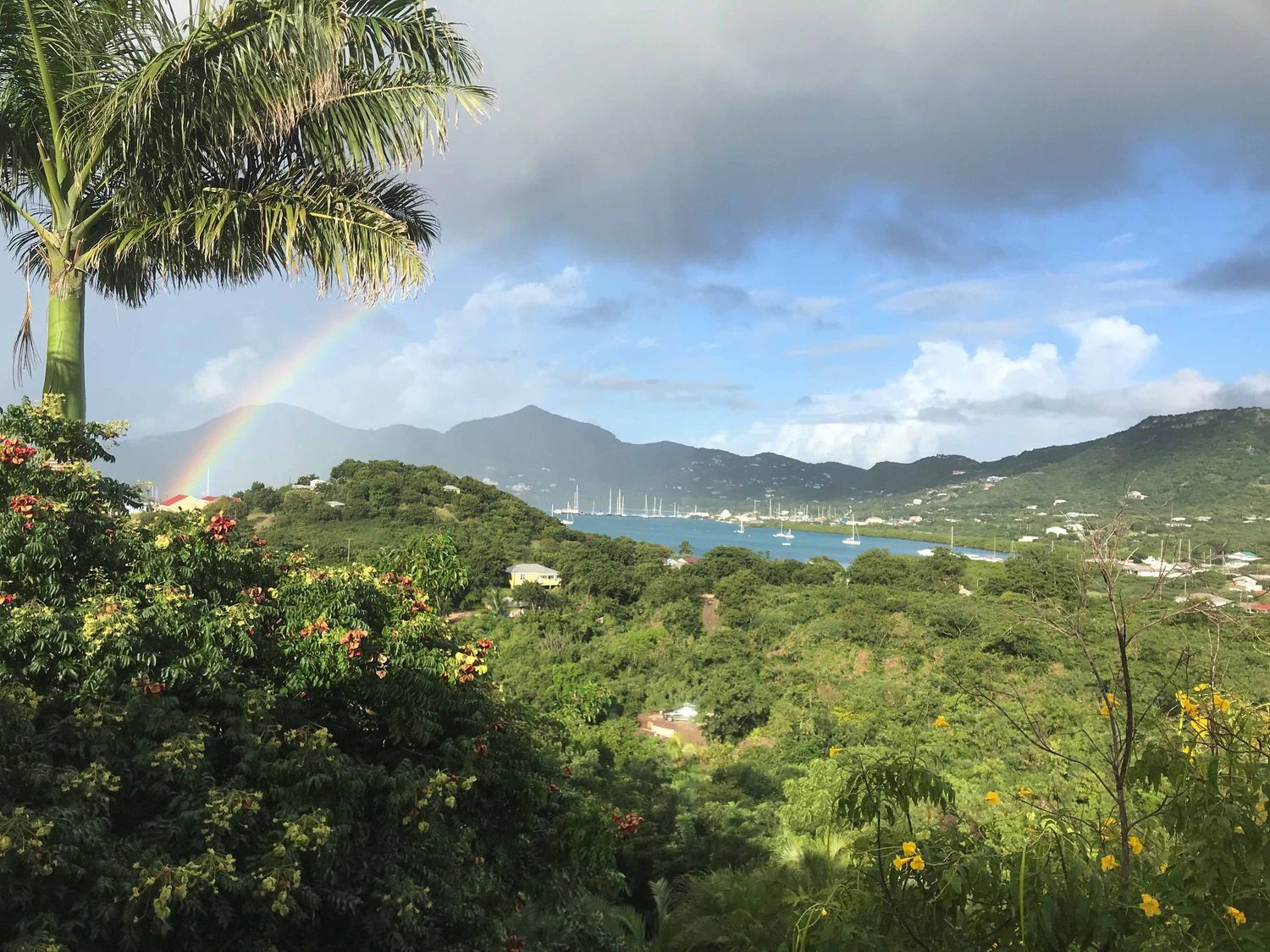 Tropical landscape with rainbow over lush green hills, sailboats in a Caribbean bay, and palm trees under a partly cloudy sky.