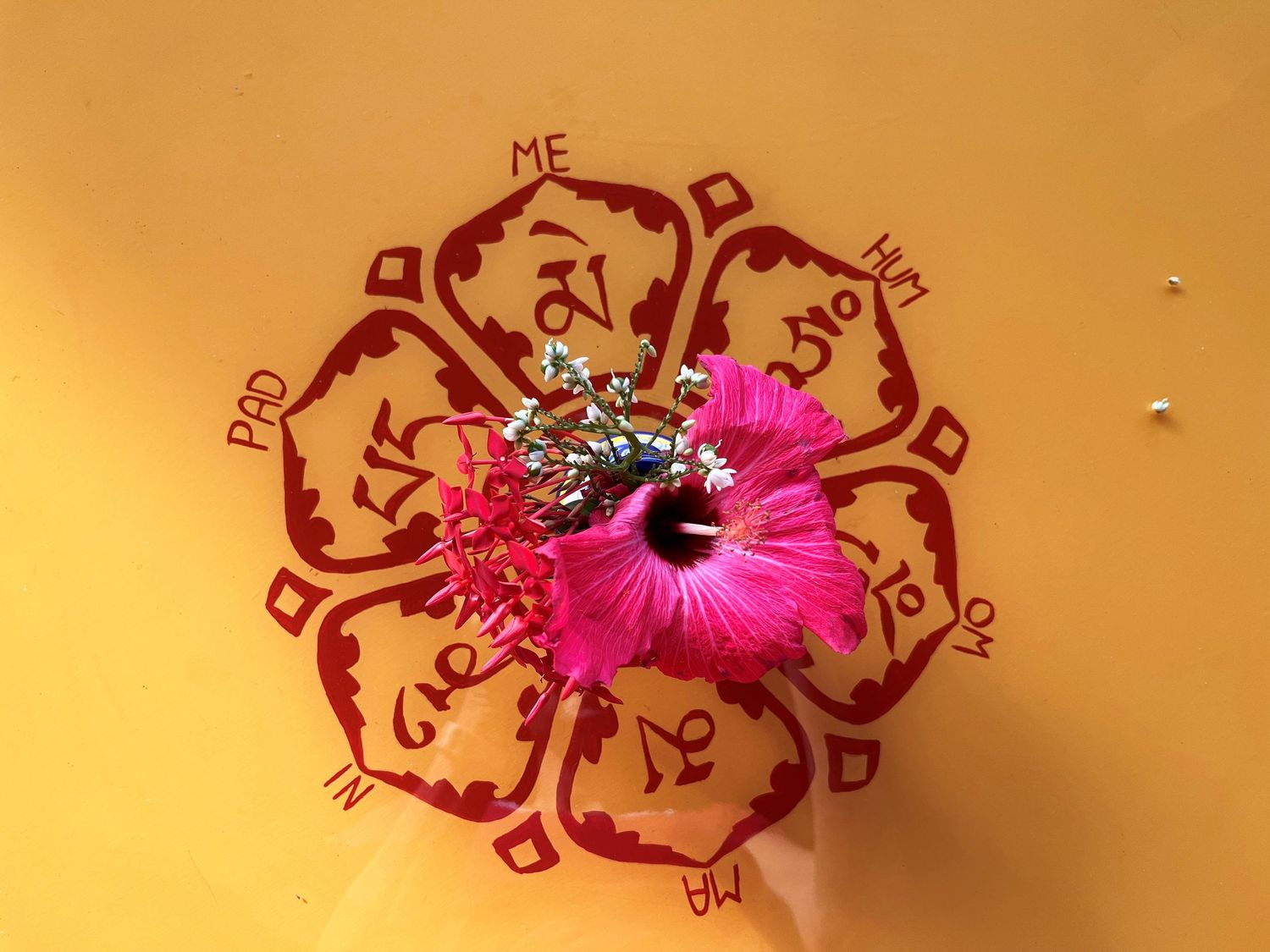 Pink hibiscus flower on yellow surface with red mandala design featuring Sanskrit Om mantra text.