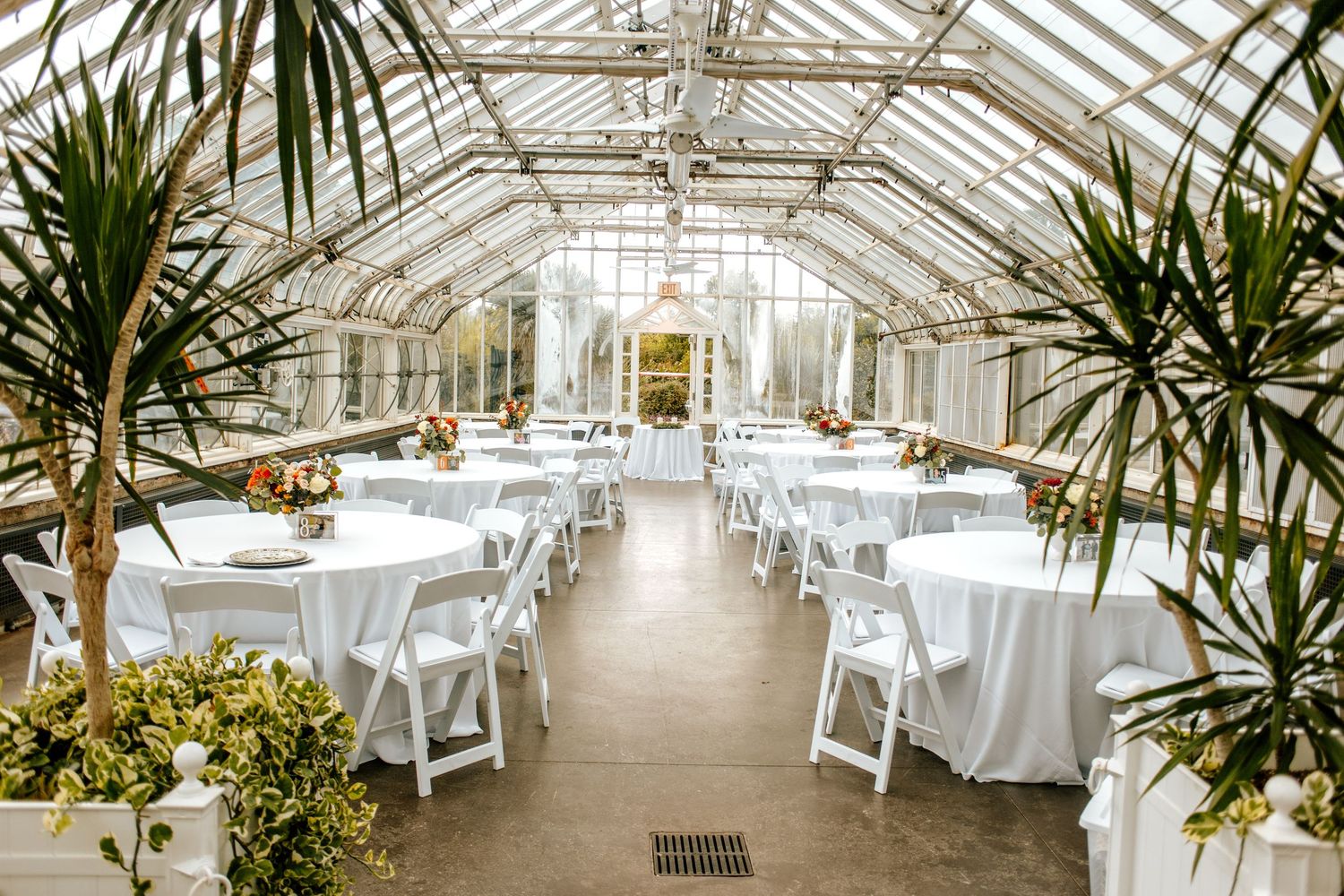 Elegant greenhouse wedding reception with white round tables, folding chairs, and tropical plants under a glass ceiling.