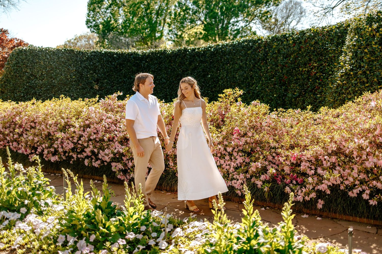 Couple walking hand in hand through a sunny garden path bordered by blooming pink azalea bushes.