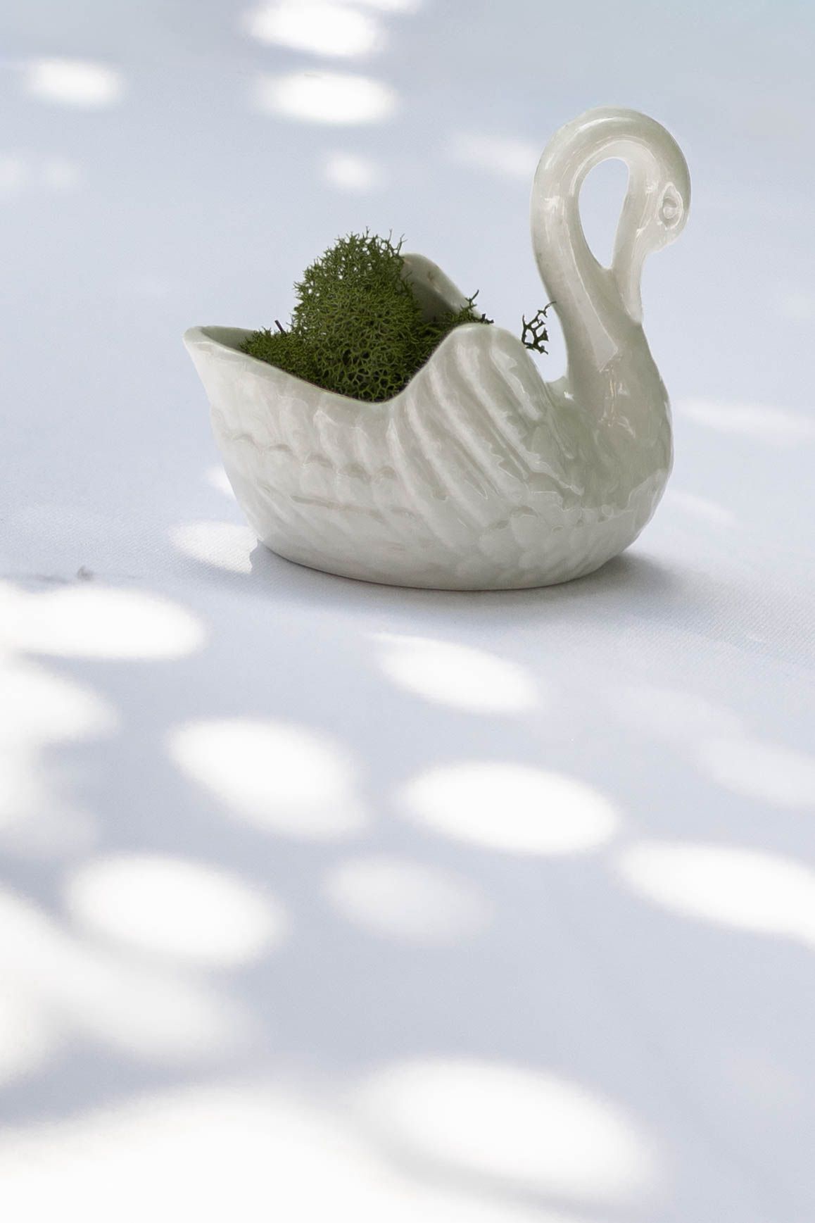 White ceramic swan planter filled with green moss, casting circular light shadows on a white surface.