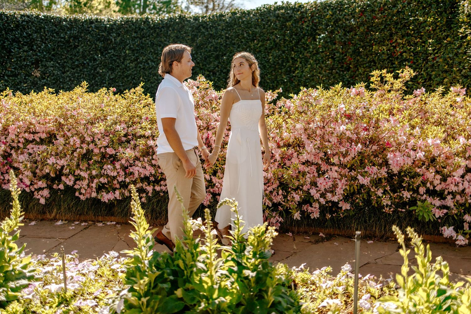 Engaged couple holding hands facing each other beside a vibrant pink flowering hedge in a garden.