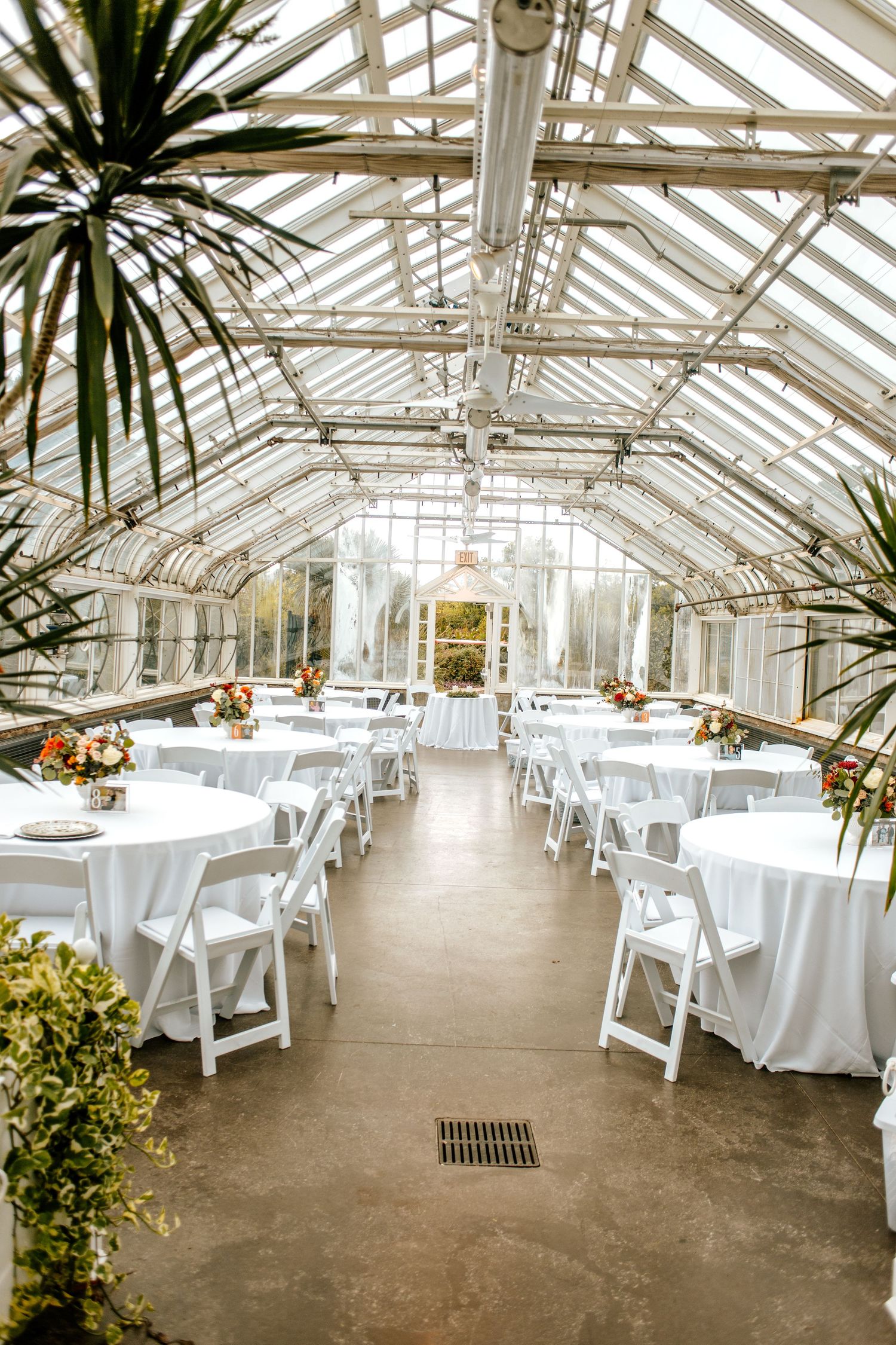 Elegant greenhouse wedding reception with white round tables, folding chairs, and floral centerpieces under a glass ceiling.