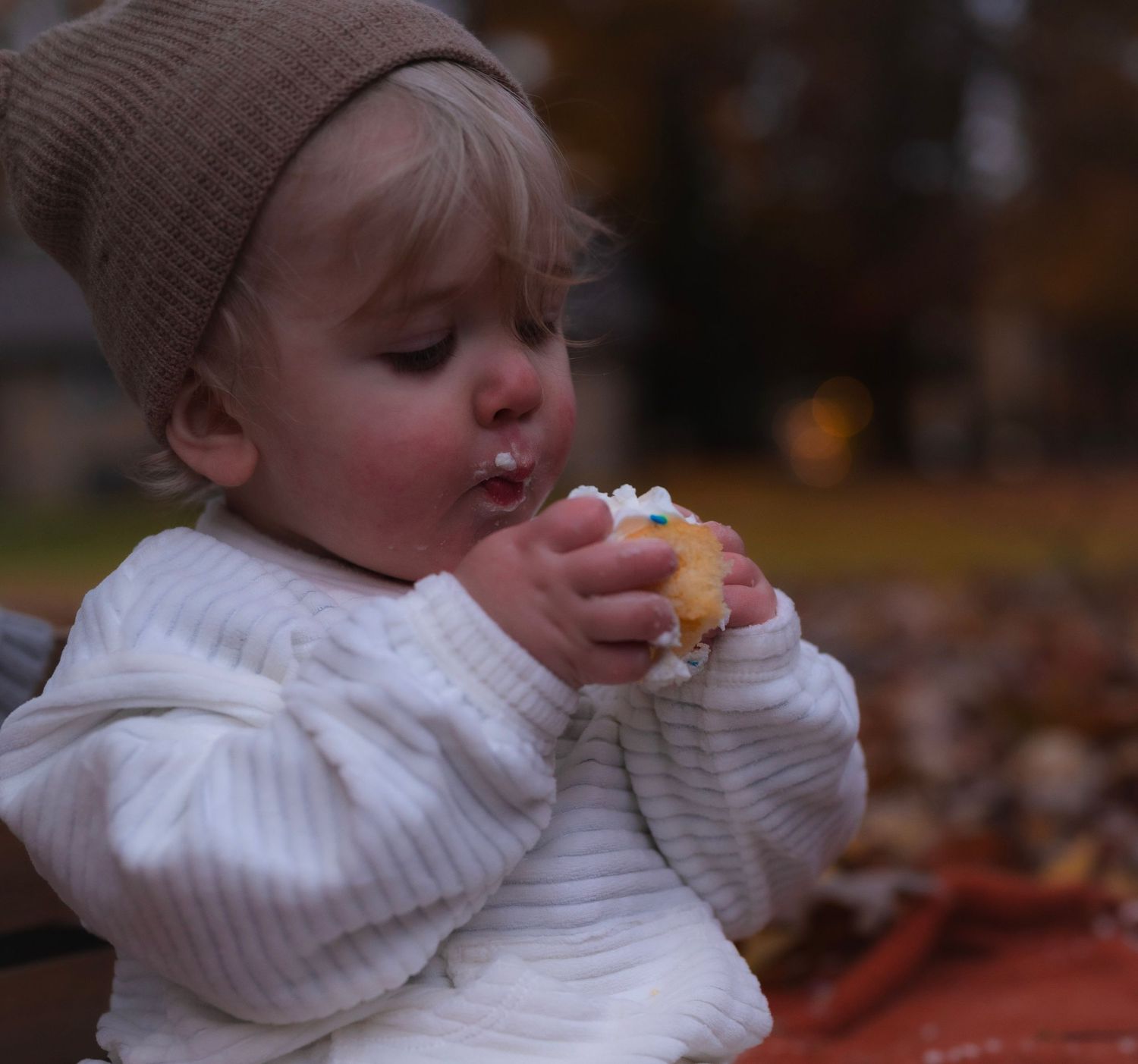 Toddler in brown knit hat eating a colorful cupcake outdoors among autumn leaves, first birthday, Neo Ohio, outdoors, family.