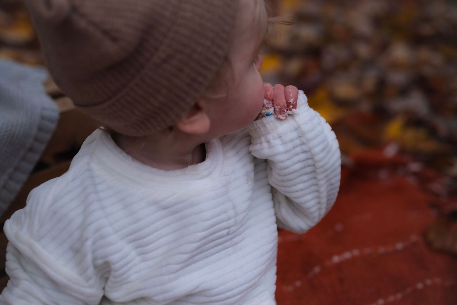 A baby in a white striped sweater and brown knit hat sits among colorful autumn leaves.