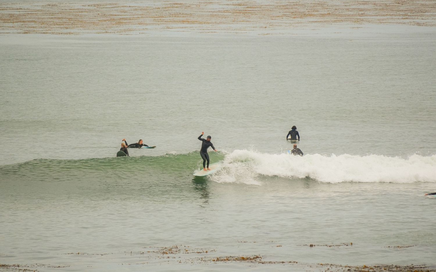 Surfer rides a green wave toward shore while other surfers wait and paddle nearby in the lineup.