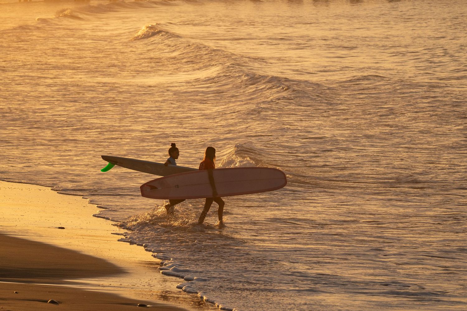 Two surfers carrying longboards walk into the golden sunset surf along the shoreline at dusk.