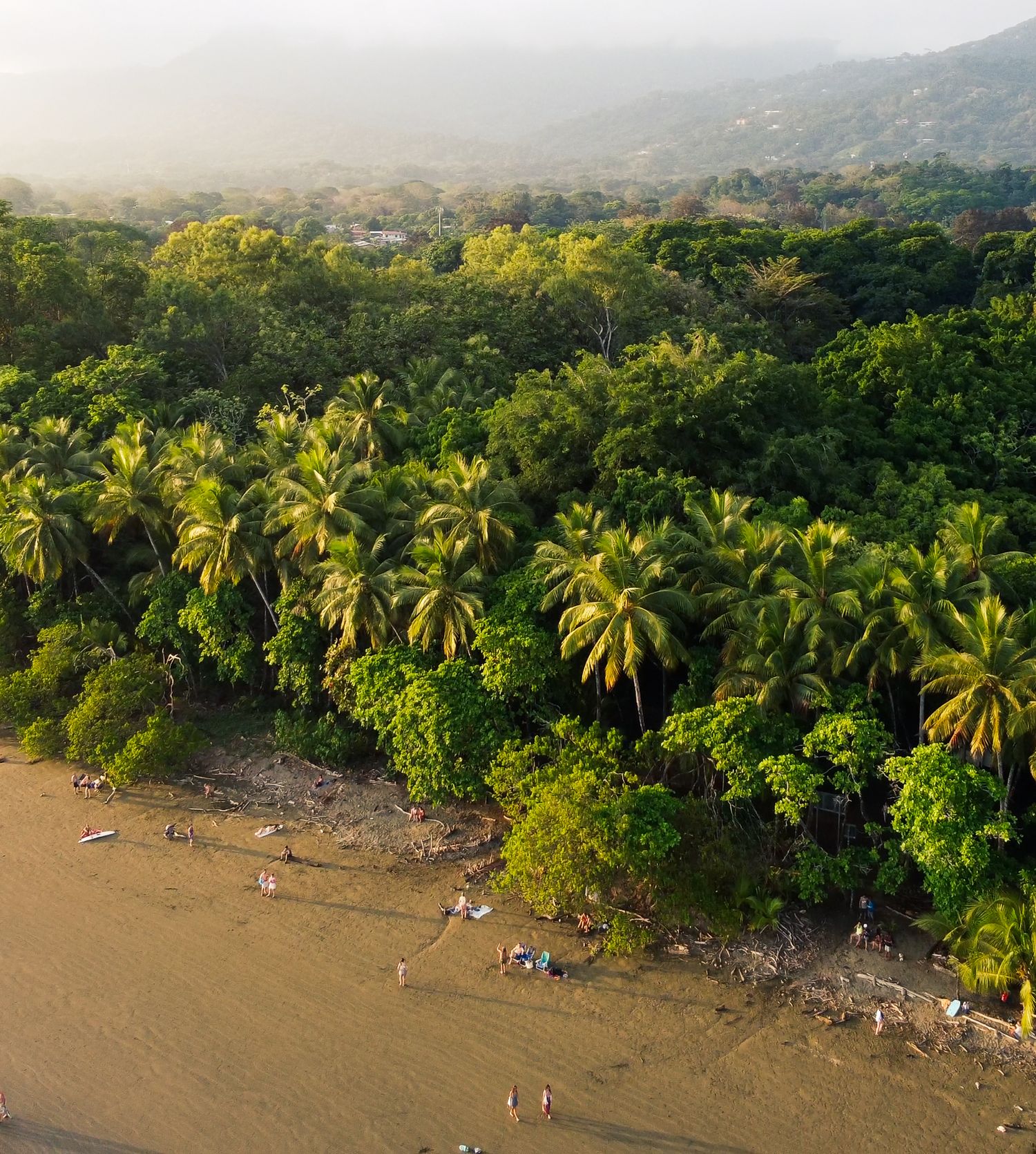 Aerial view of a golden sand beach lined with lush palm trees and tropical forest at sunset with misty mountains beyond.