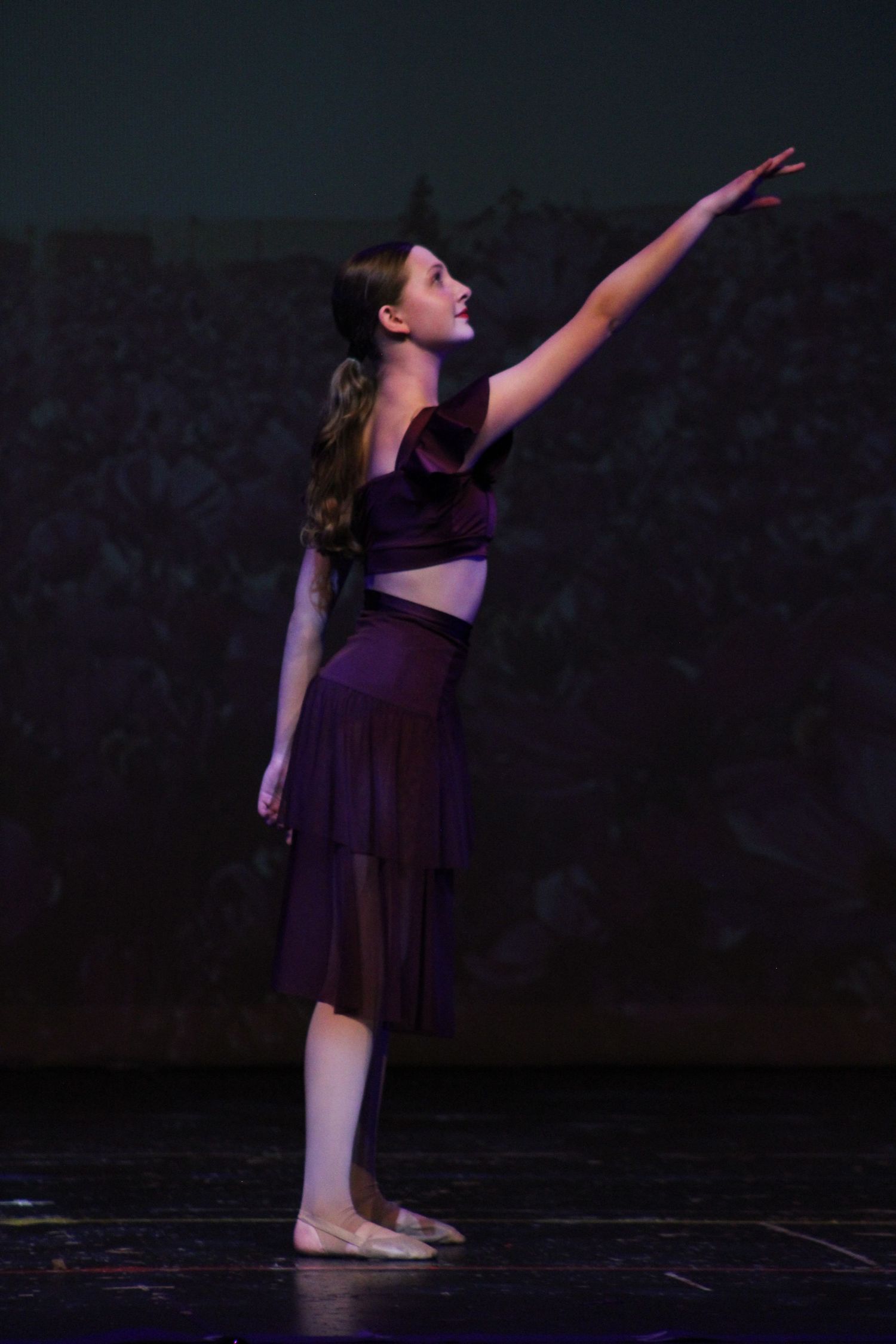 Image from Danc'letics of Rochester dance recital