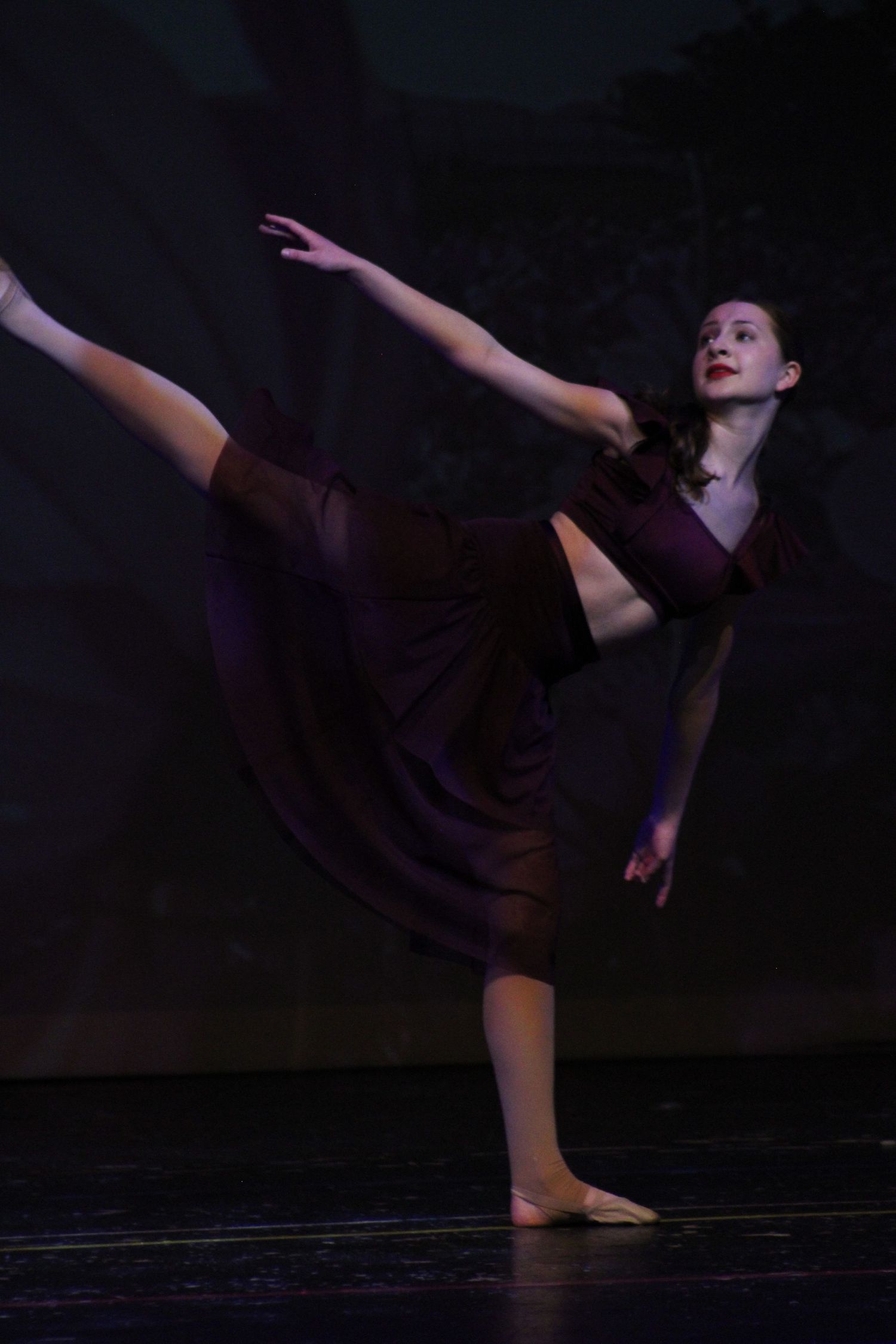 Image from Danc'letics of Rochester dance recital