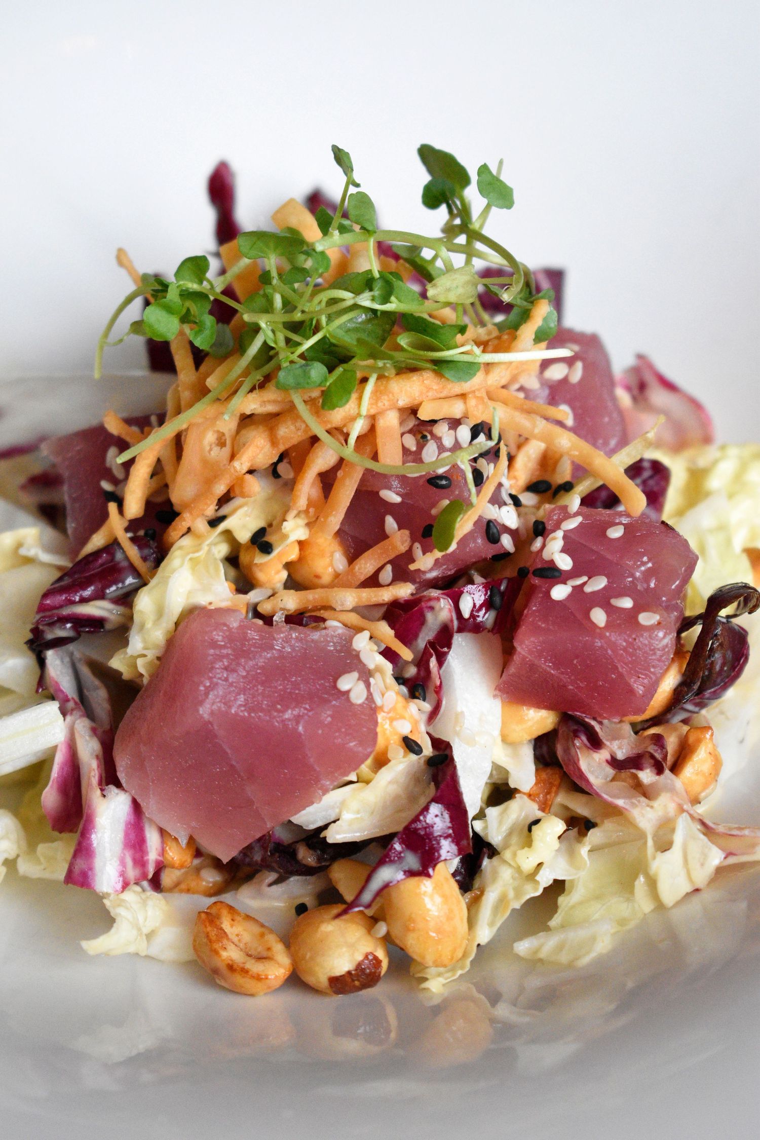 Fresh ahi tuna salad with radicchio, cabbage, carrots, sesame seeds, peanuts, and microgreens.