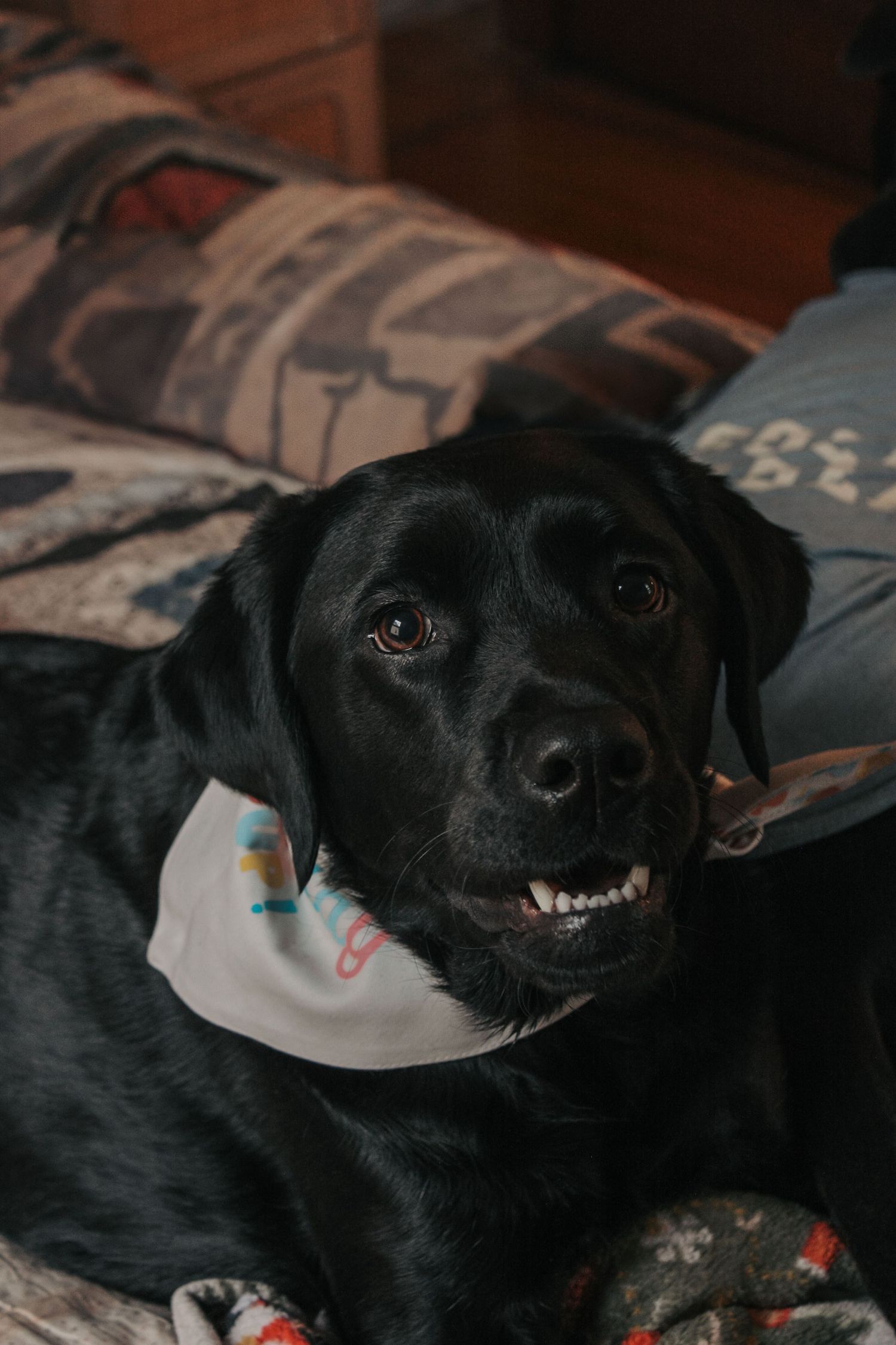 Image from The Carey's cozy at home photoshoot
