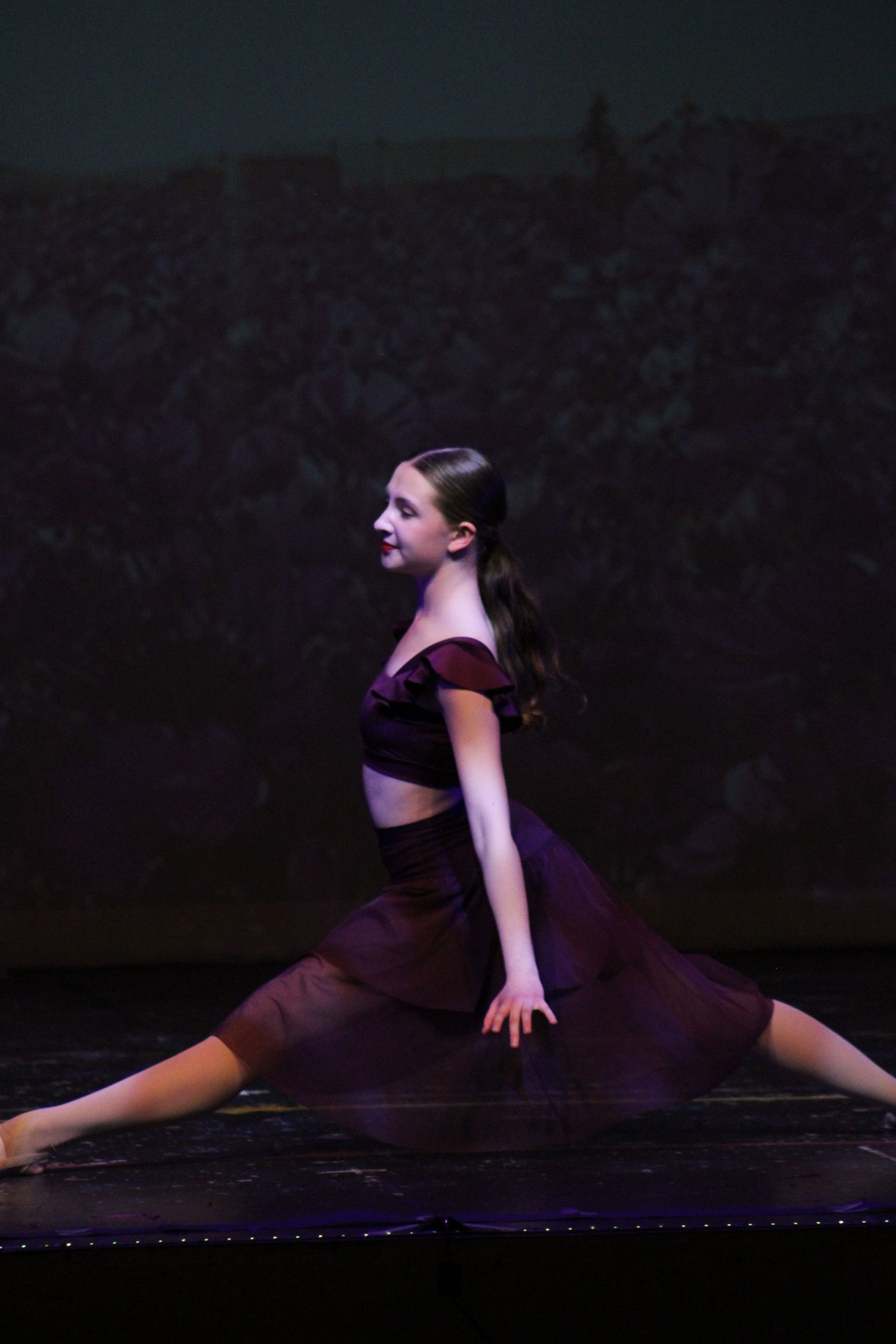 Image from Danc'letics of Rochester dance recital