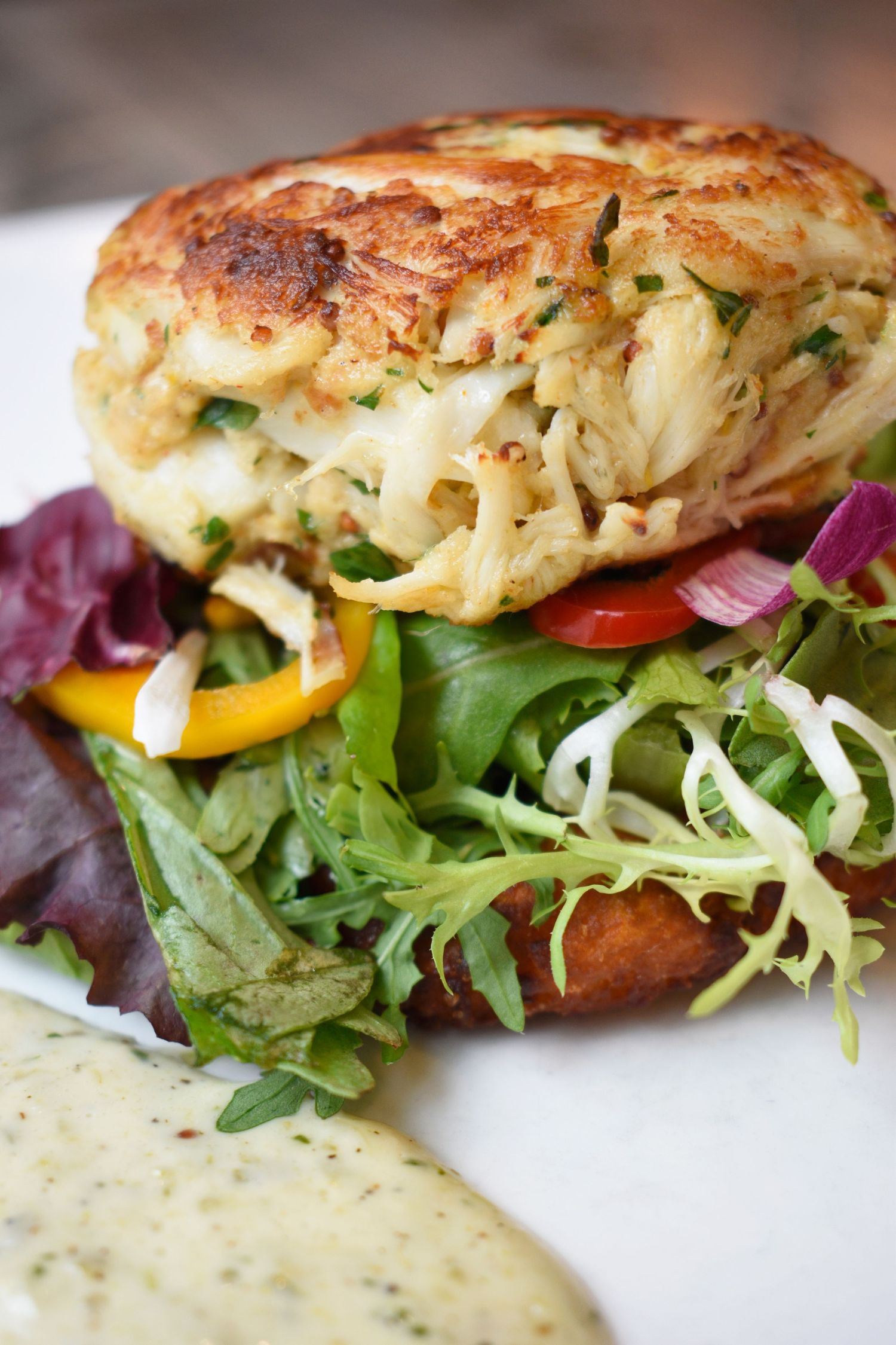 Golden crab cake sandwich with mixed greens, bell peppers, red onion, and creamy herb sauce on white plate.