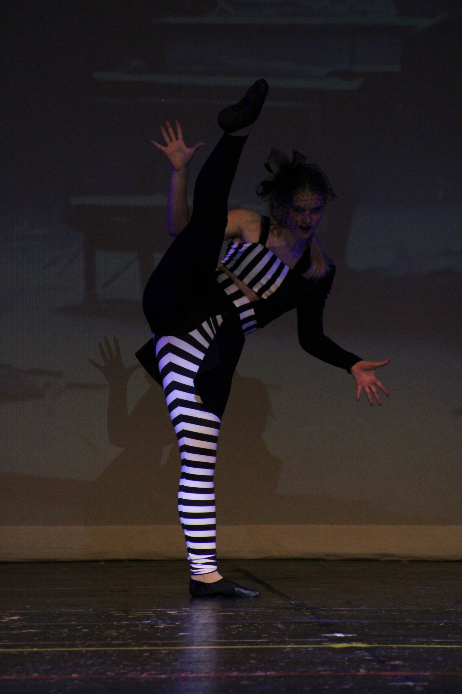 Image from Danc'letics of Rochester dance recital