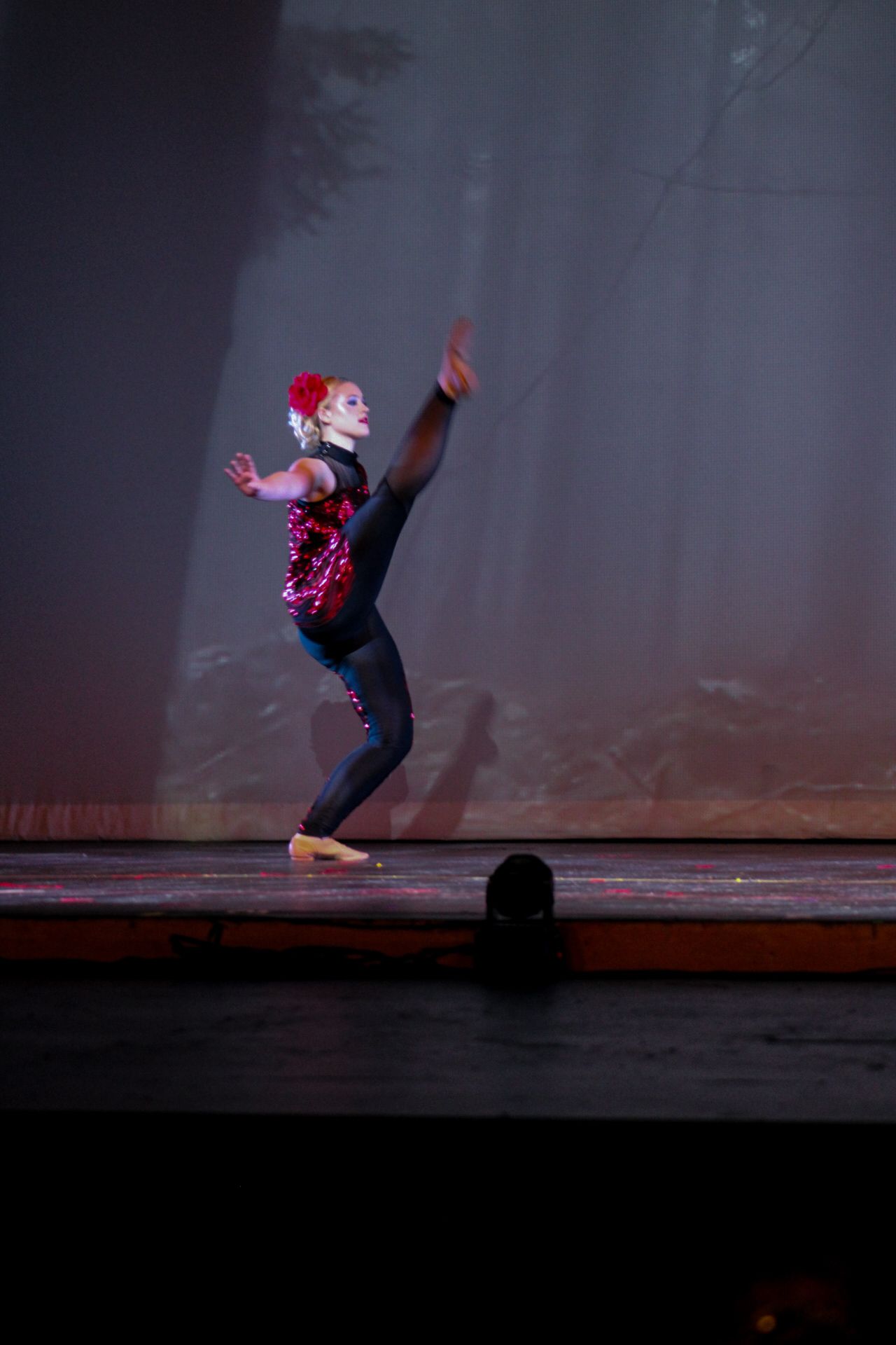 Image from Danc'letics of Rochester dance recital