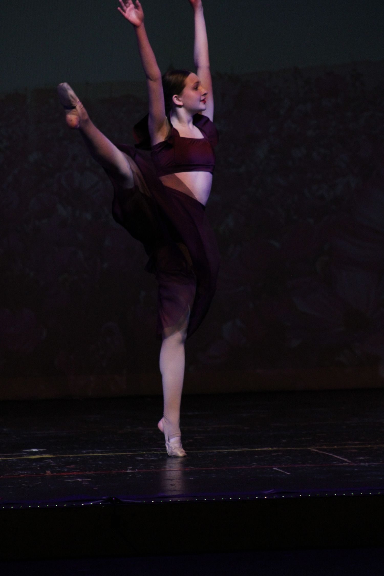 Image from Danc'letics of Rochester dance recital