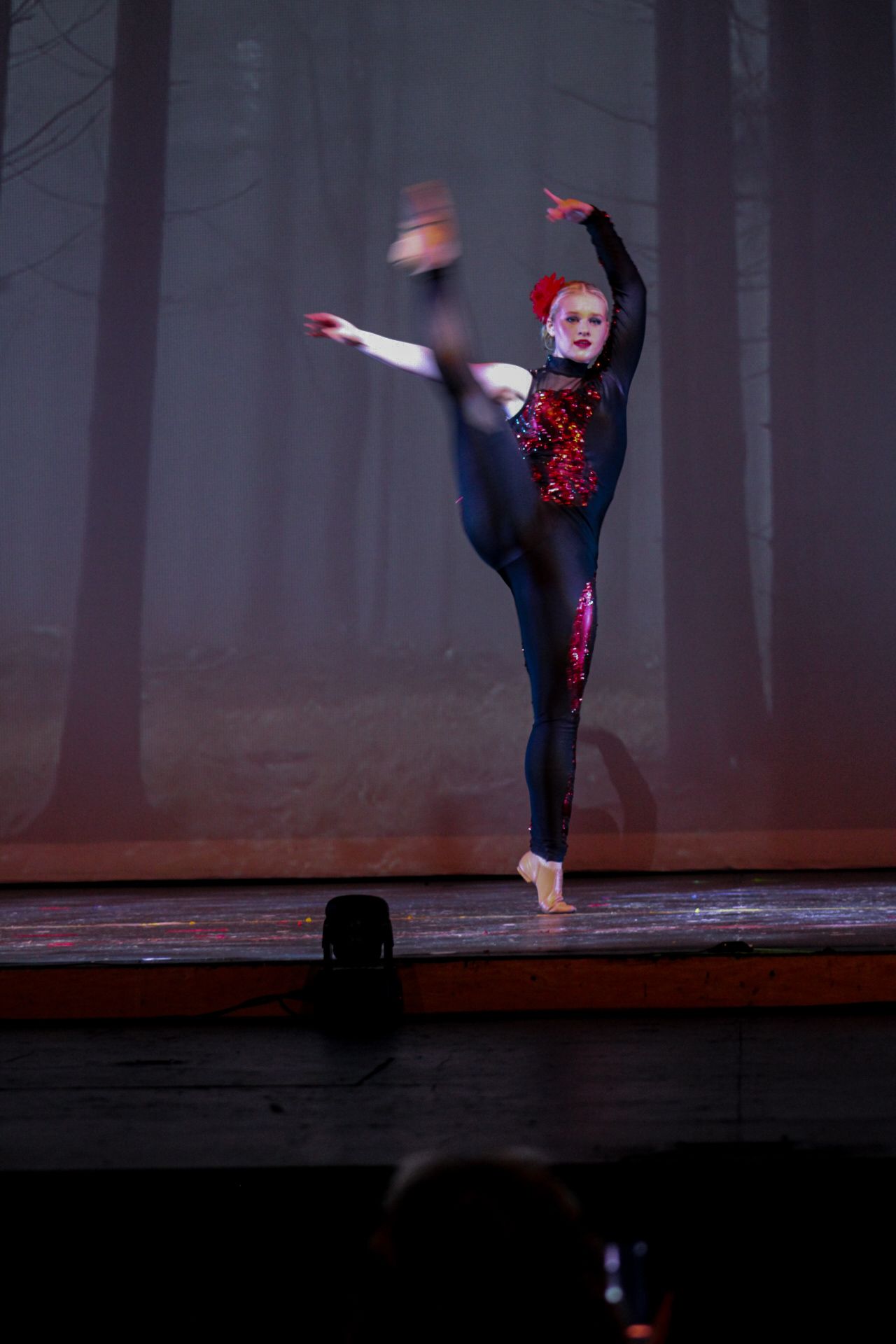 Image from Danc'letics of Rochester dance recital