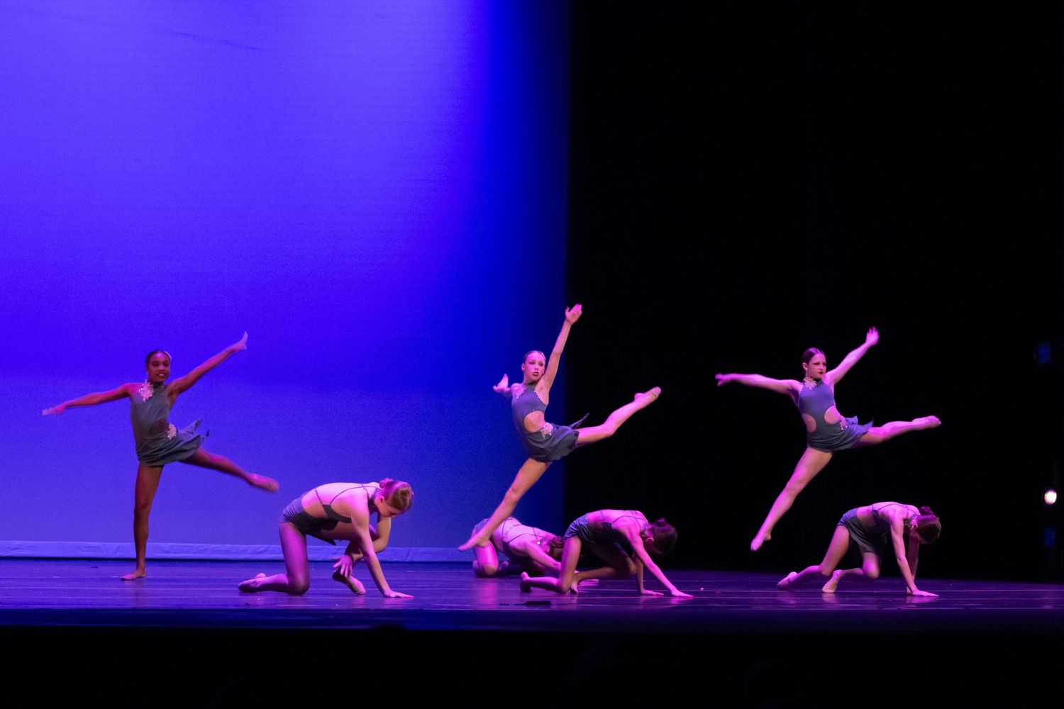 A group of contemporary dancers perform dynamic leaps and floor poses under blue and purple stage lights.