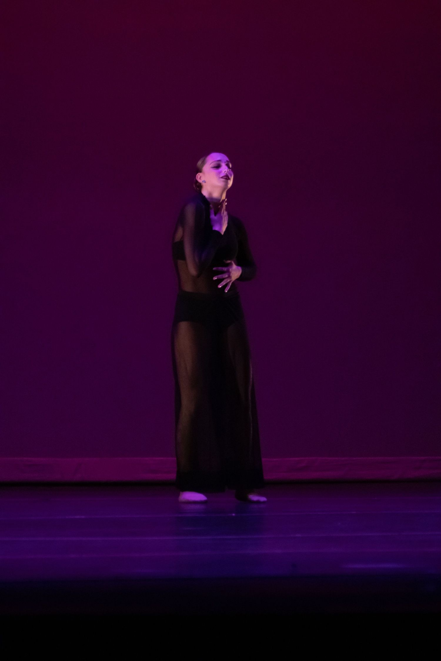 A dancer in a black sheer gown performs gracefully on a purple-lit stage.
