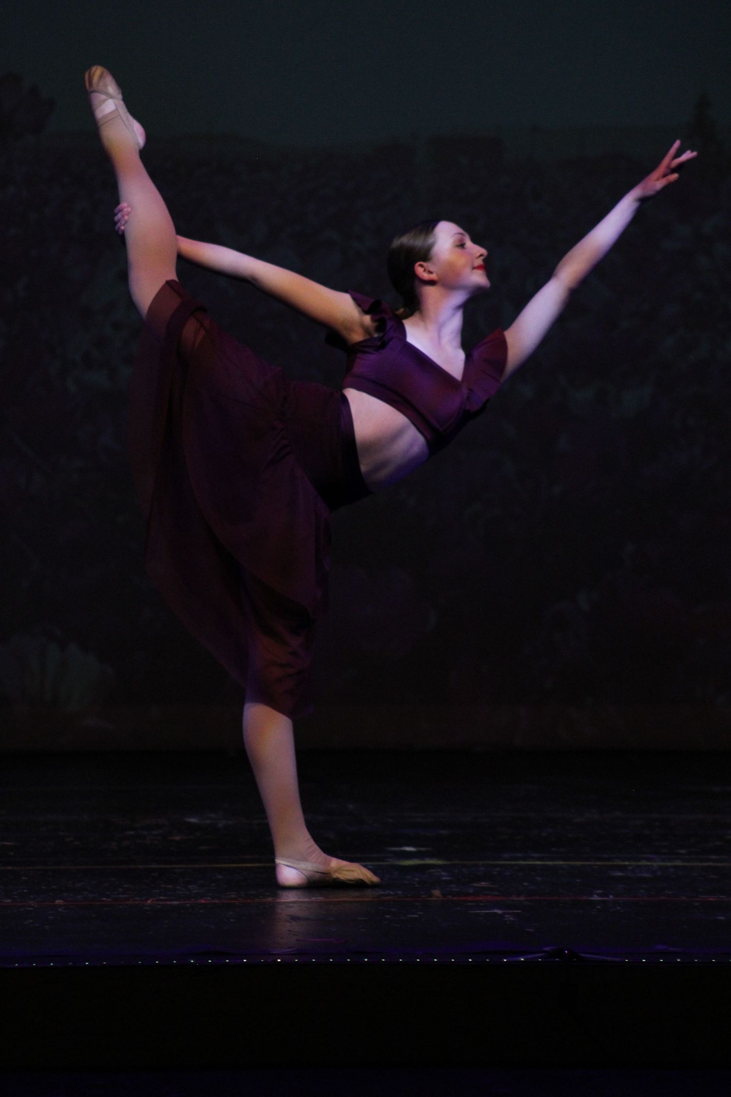 Image from Danc'letics of Rochester dance recital