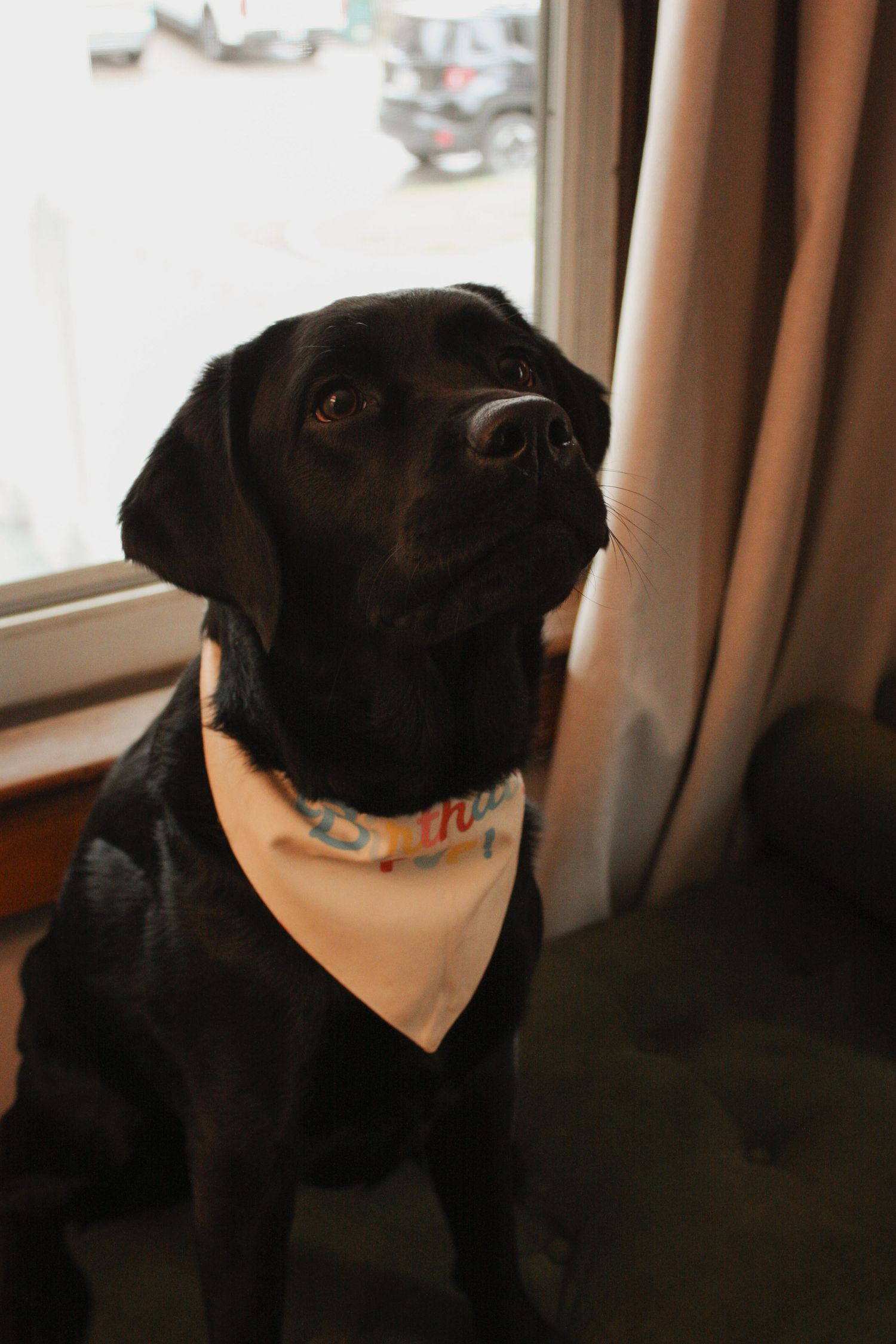 Image from The Carey's cozy at home photoshoot