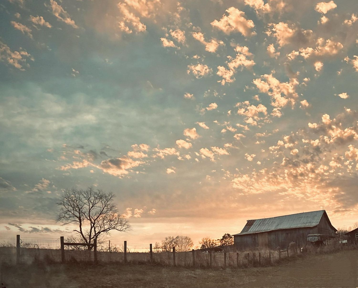 A panoramic view of a dramatic sunset sky with scattered clouds and silhouetted trees along the horizon.
