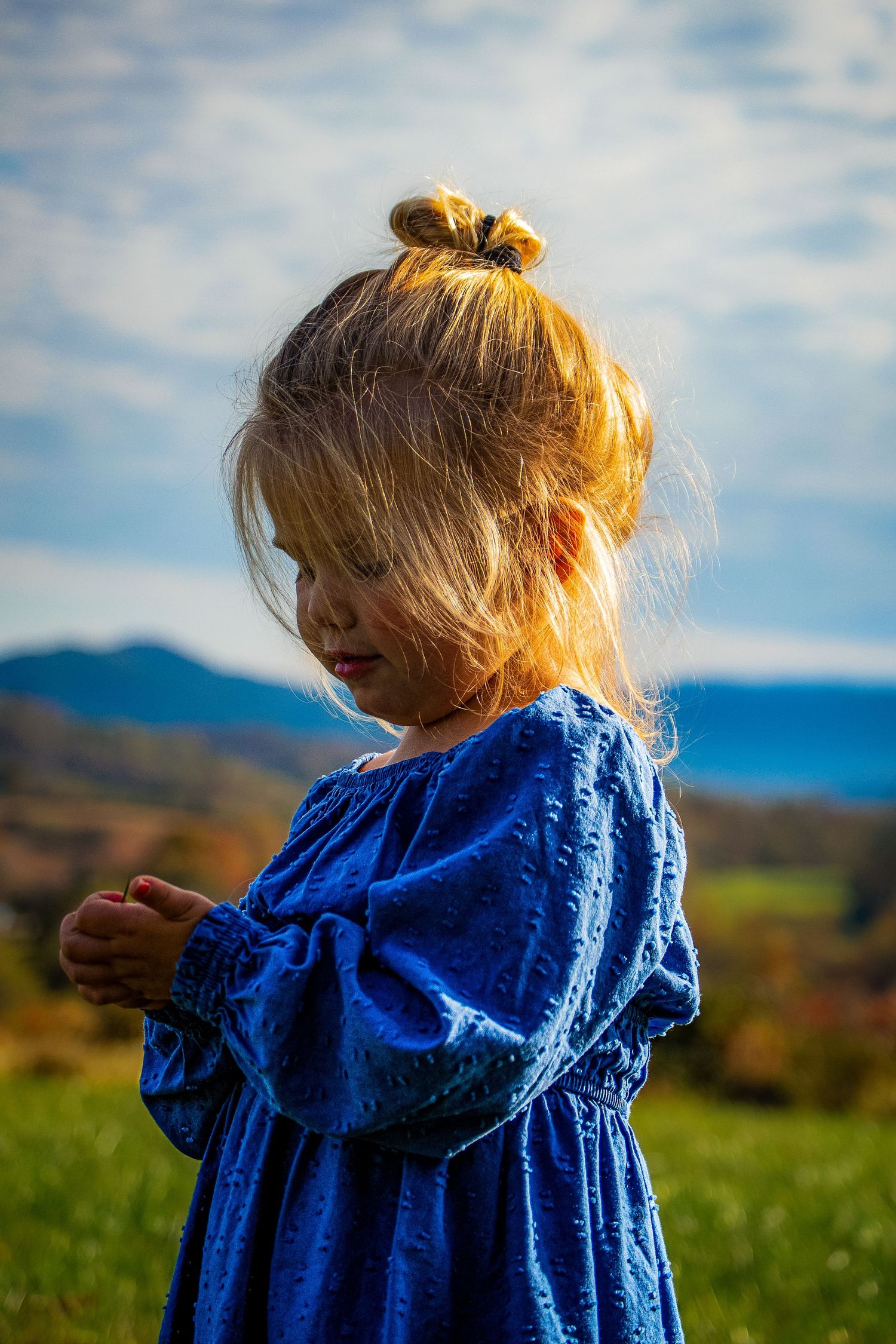 Child with messy bun hairstyle wearing blue dress standing in sunlit meadow with mountains in background.