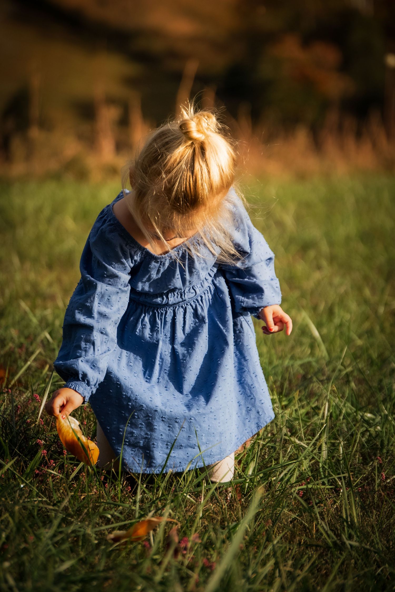 Back view of small child in blue dress sitting in tall grass at sunset.