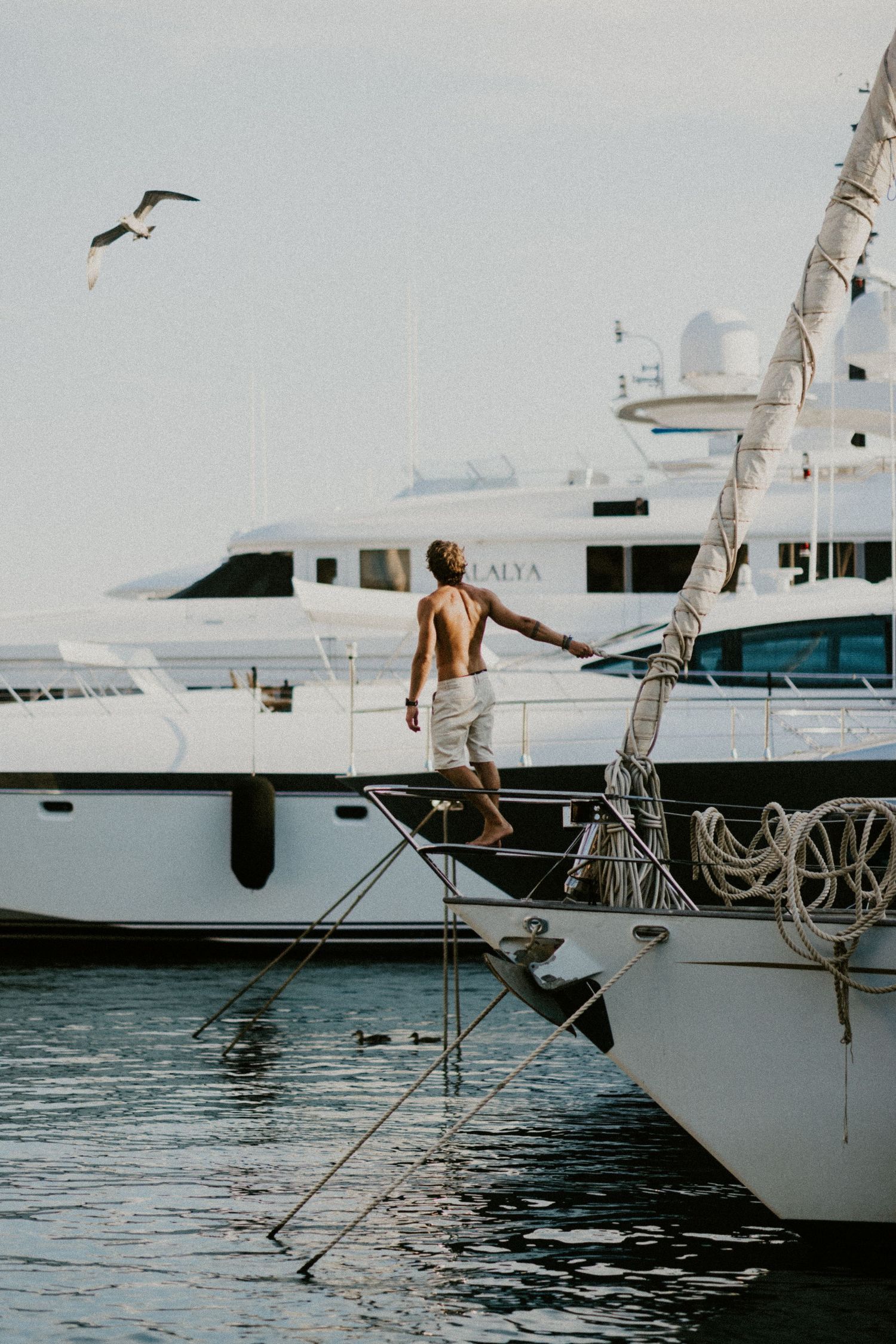 Shirtless man standing on sailboat bow in a marina with luxury yachts and a seagull flying overhead.