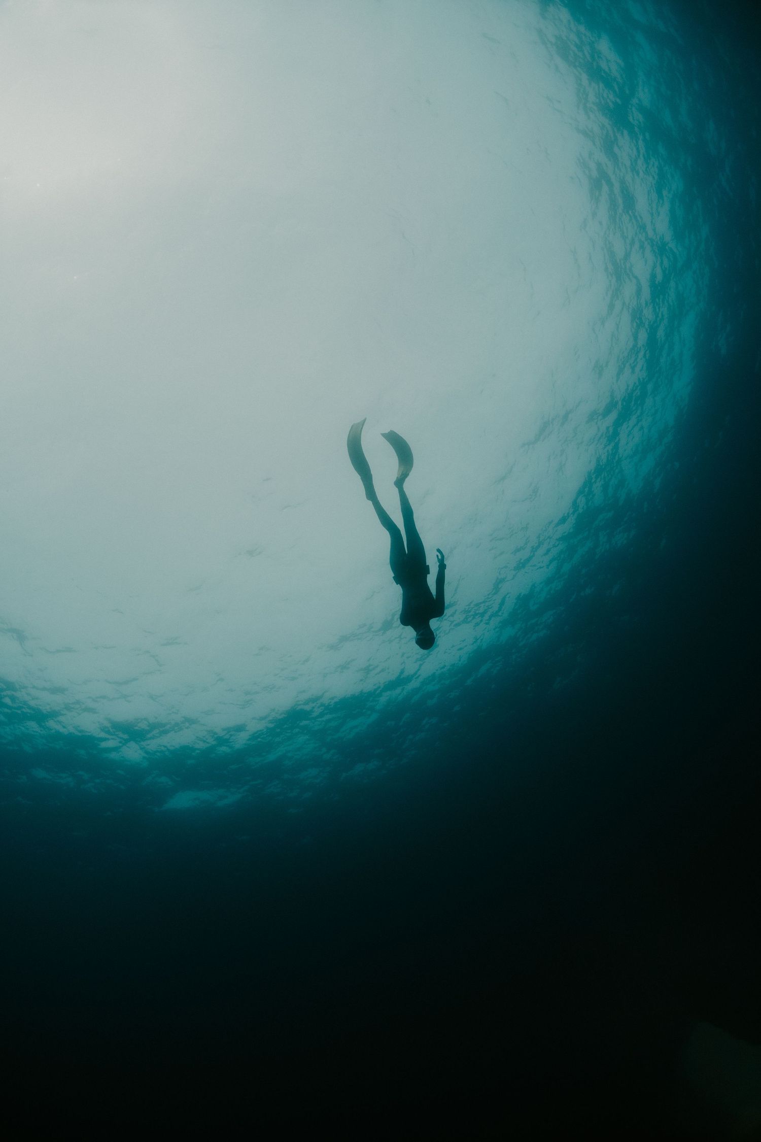Silhouette of diver descending into deep blue waters.