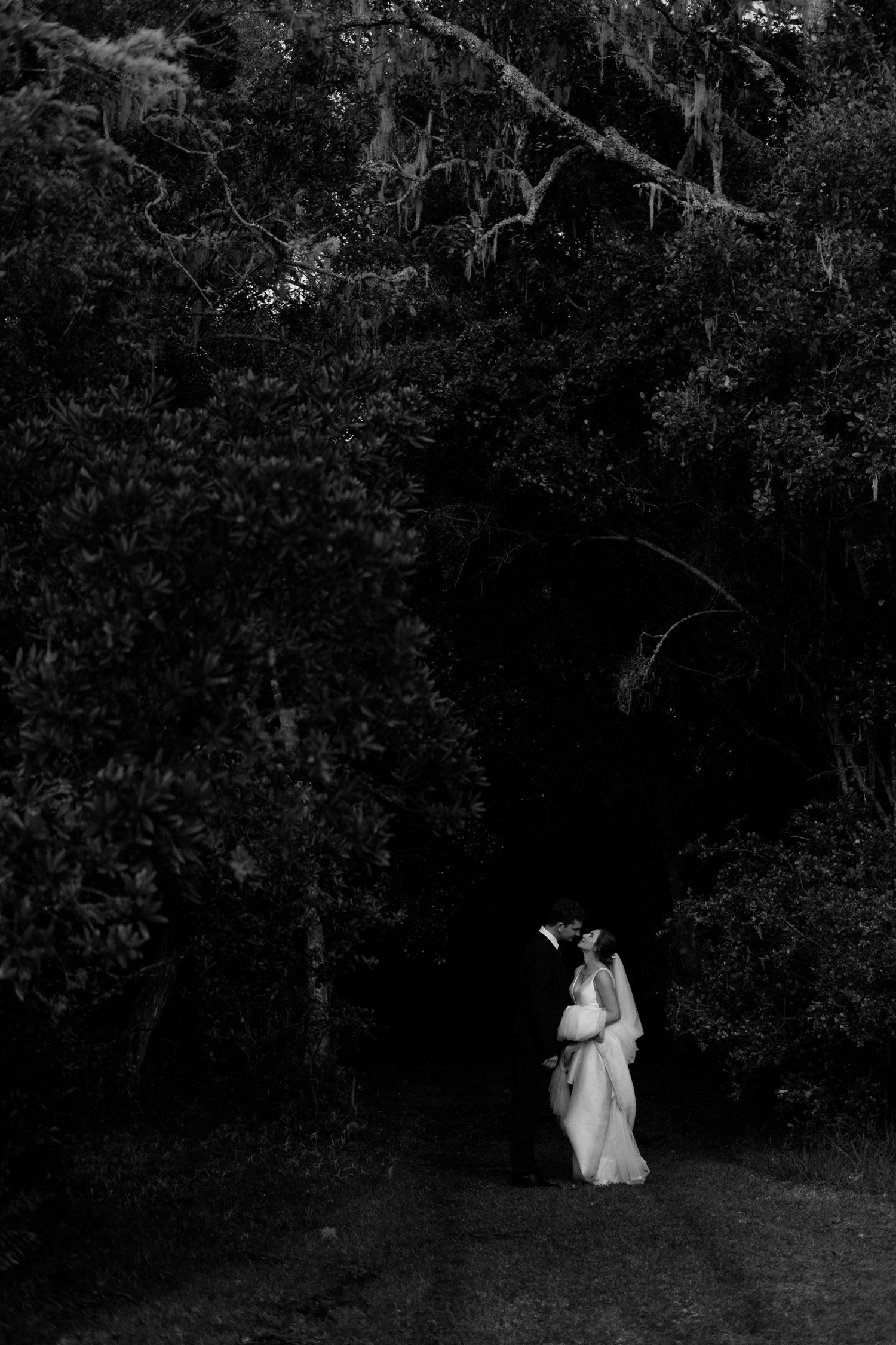 Juno-Julien Wedding Photography | South Africa, Pittsburgh, New York City Wedding Photographer