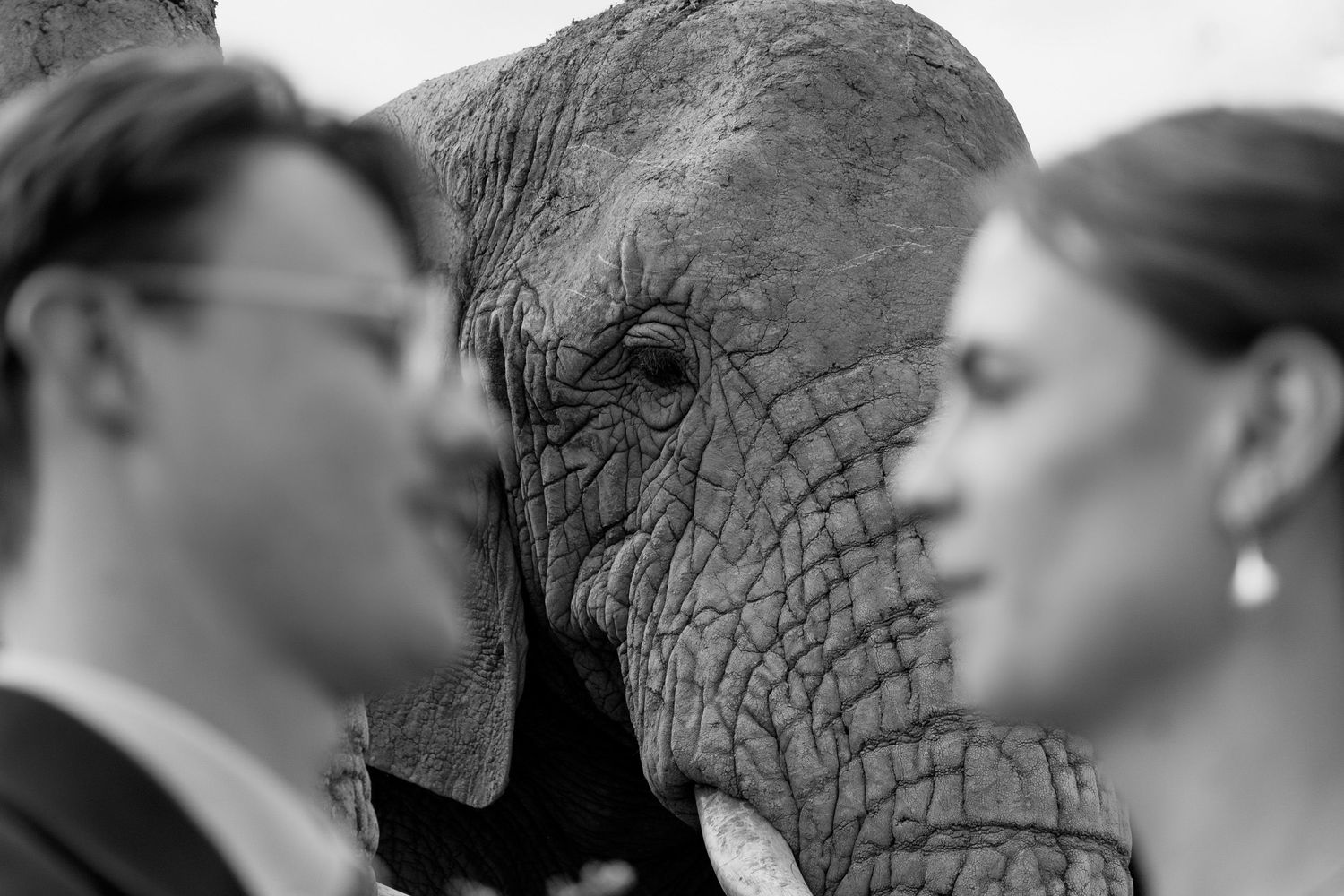 Juno-Julien Wedding Photography | South Africa, Pittsburgh, New York City Wedding Photographer
