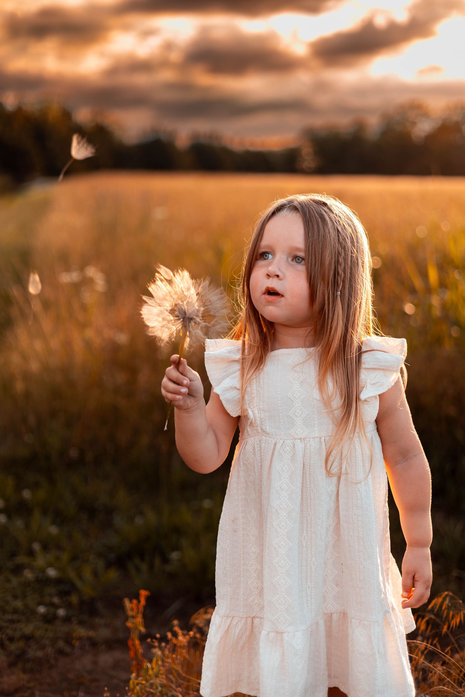 summer field with a little girl blowing a dandelion  on a stormy day at fellows lake MO during her session with Refined by Fire Photography