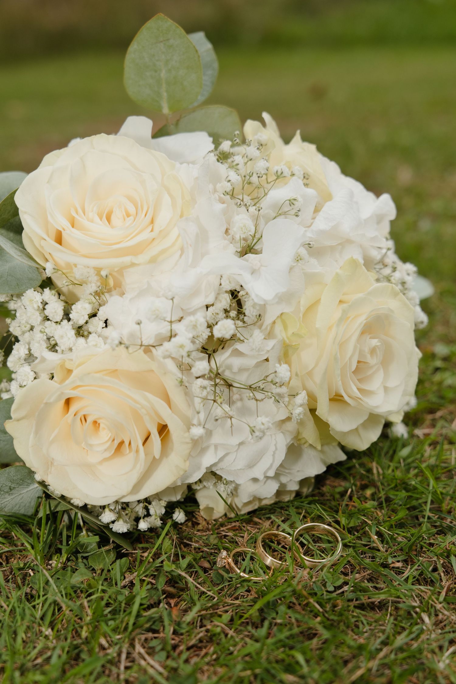 Elegant bridal bouquet of cream roses and baby's breath resting on green grass beside two gold wedding rings.