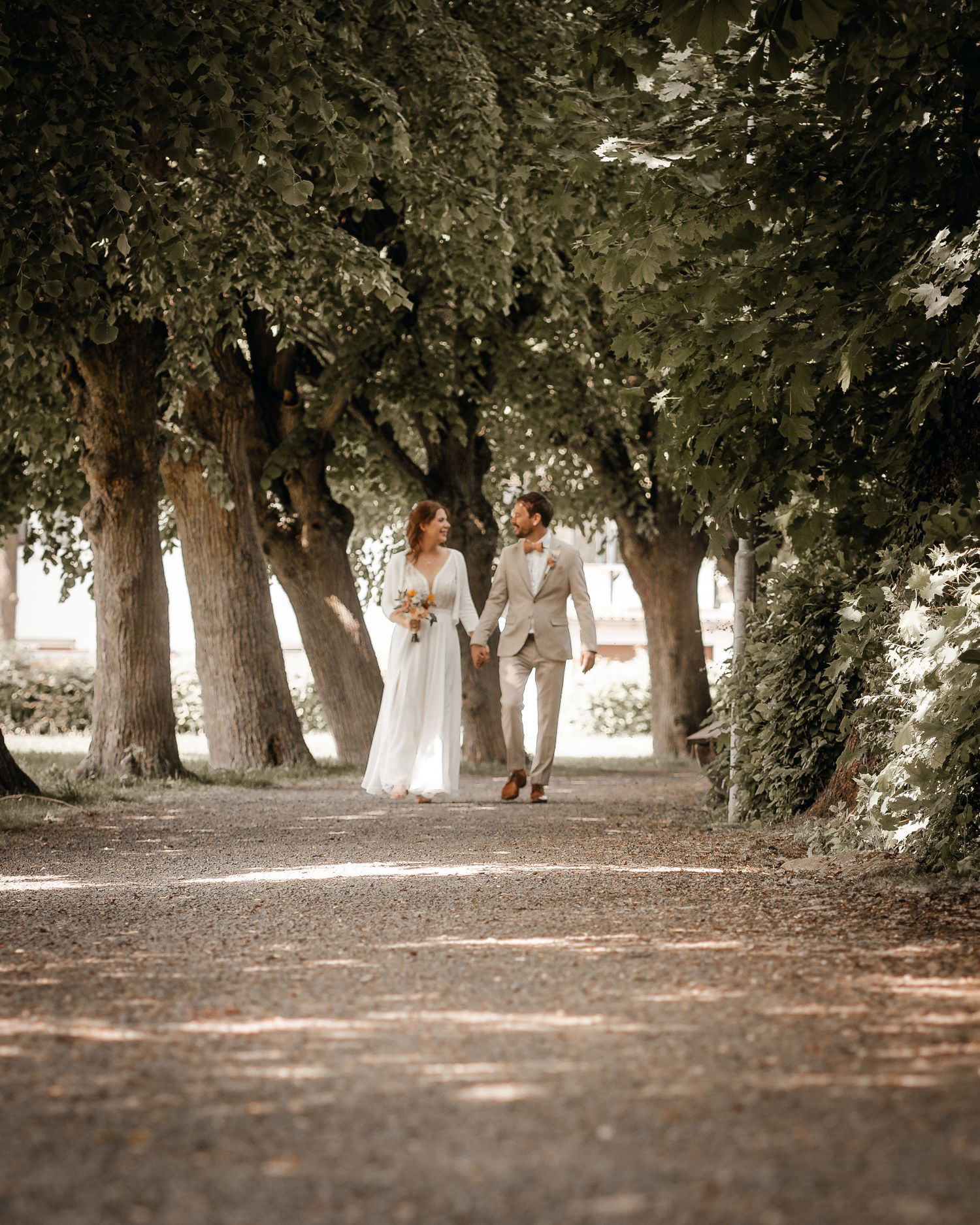 Tree-lined path with dappled sunlight creating shadows on a leaf-covered ground.