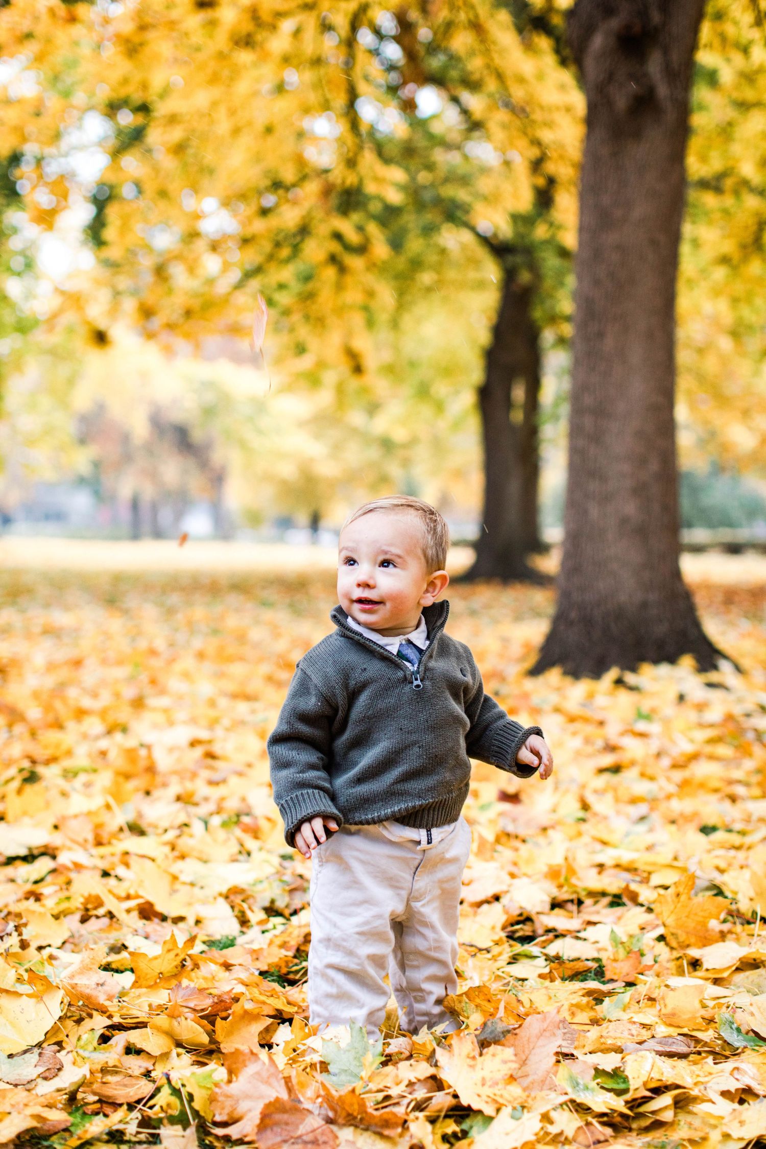 Toddler explores yellow fallen leaves in autumn park setting.