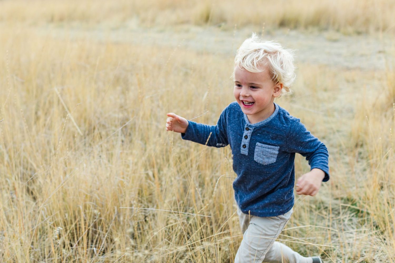 Children run and play through a golden grass field on a sunny afternoon.