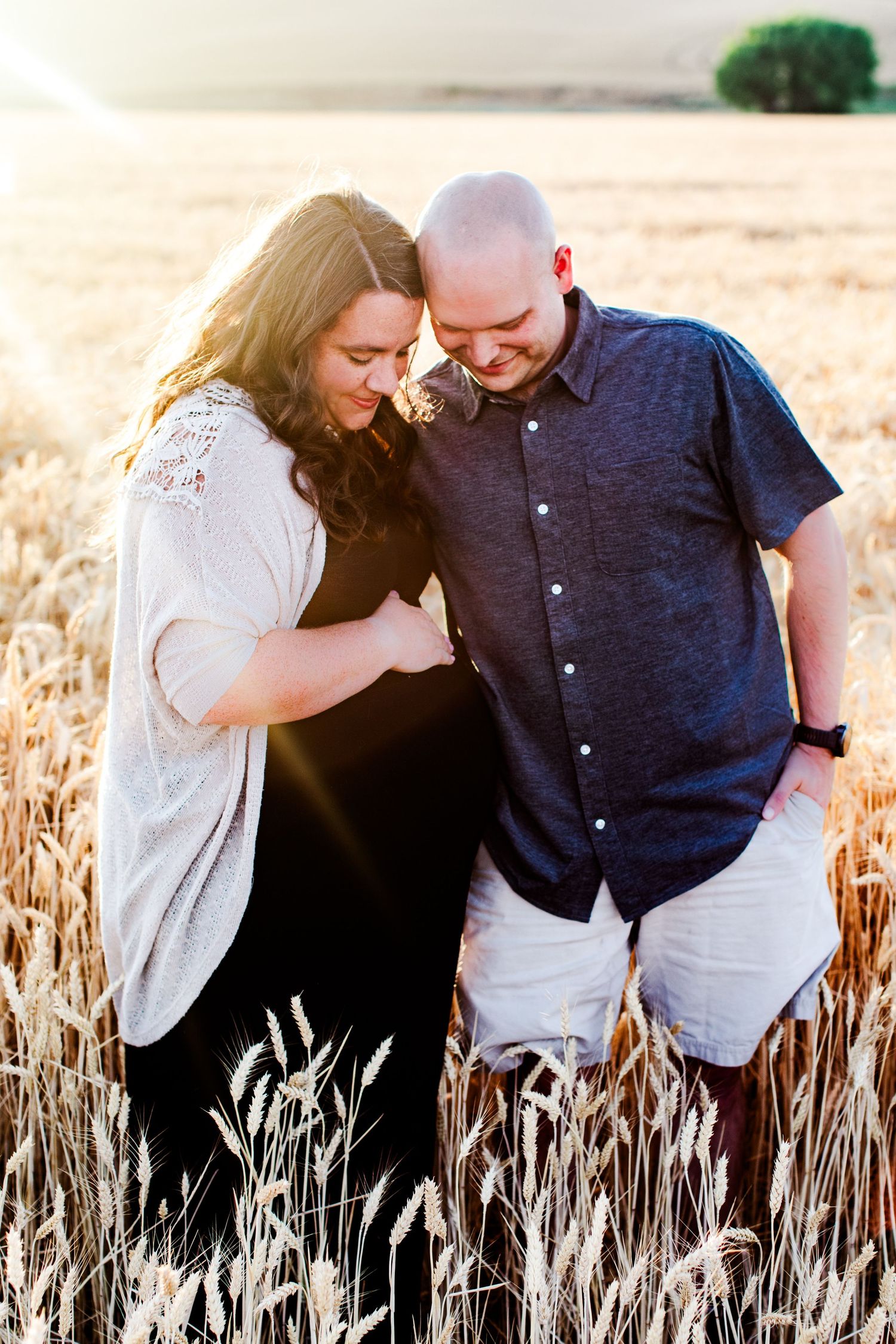 Couple embracing in golden wheat field during sunset photoshoot.