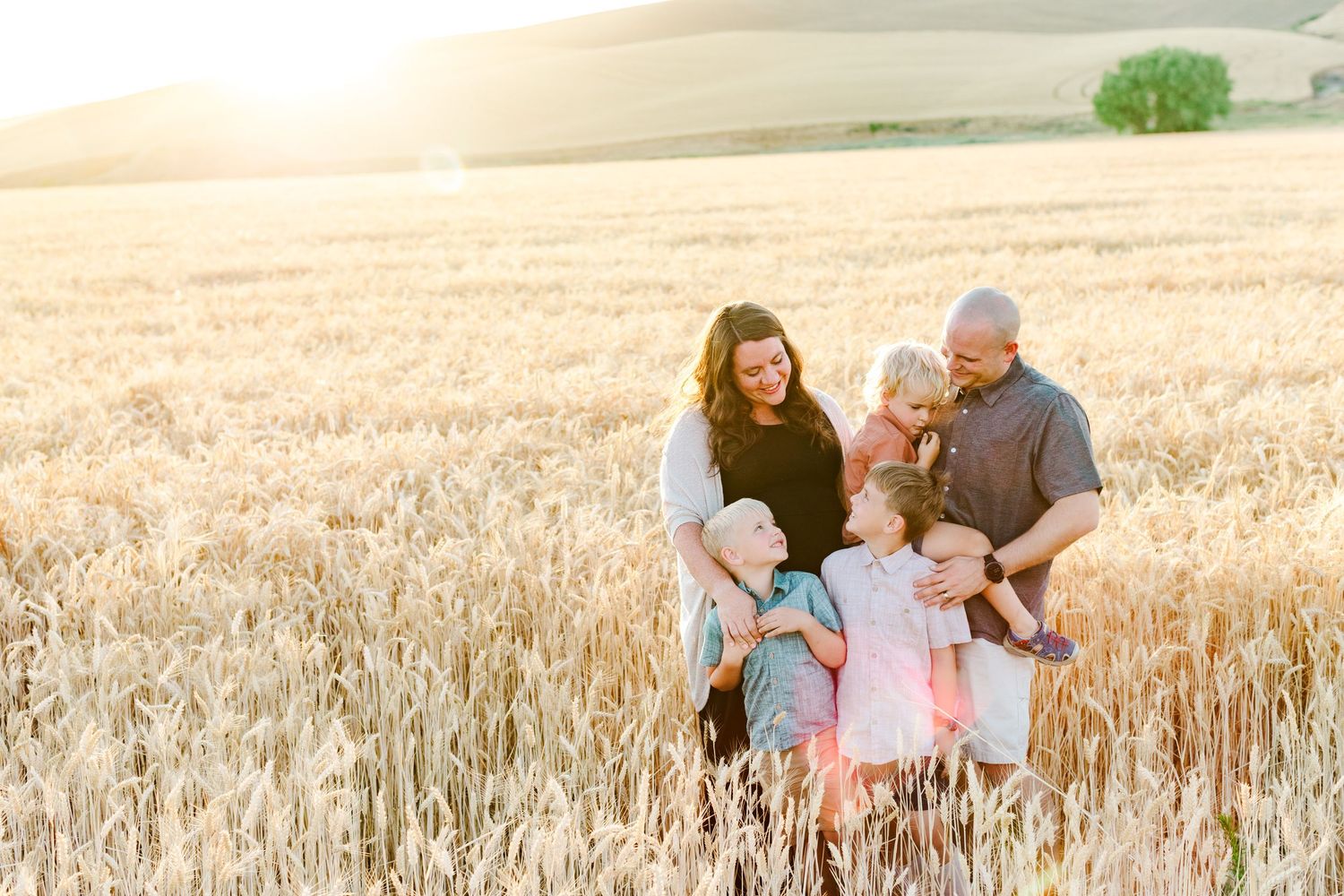 A family shares tender moments together in a golden wheat field at sunset.